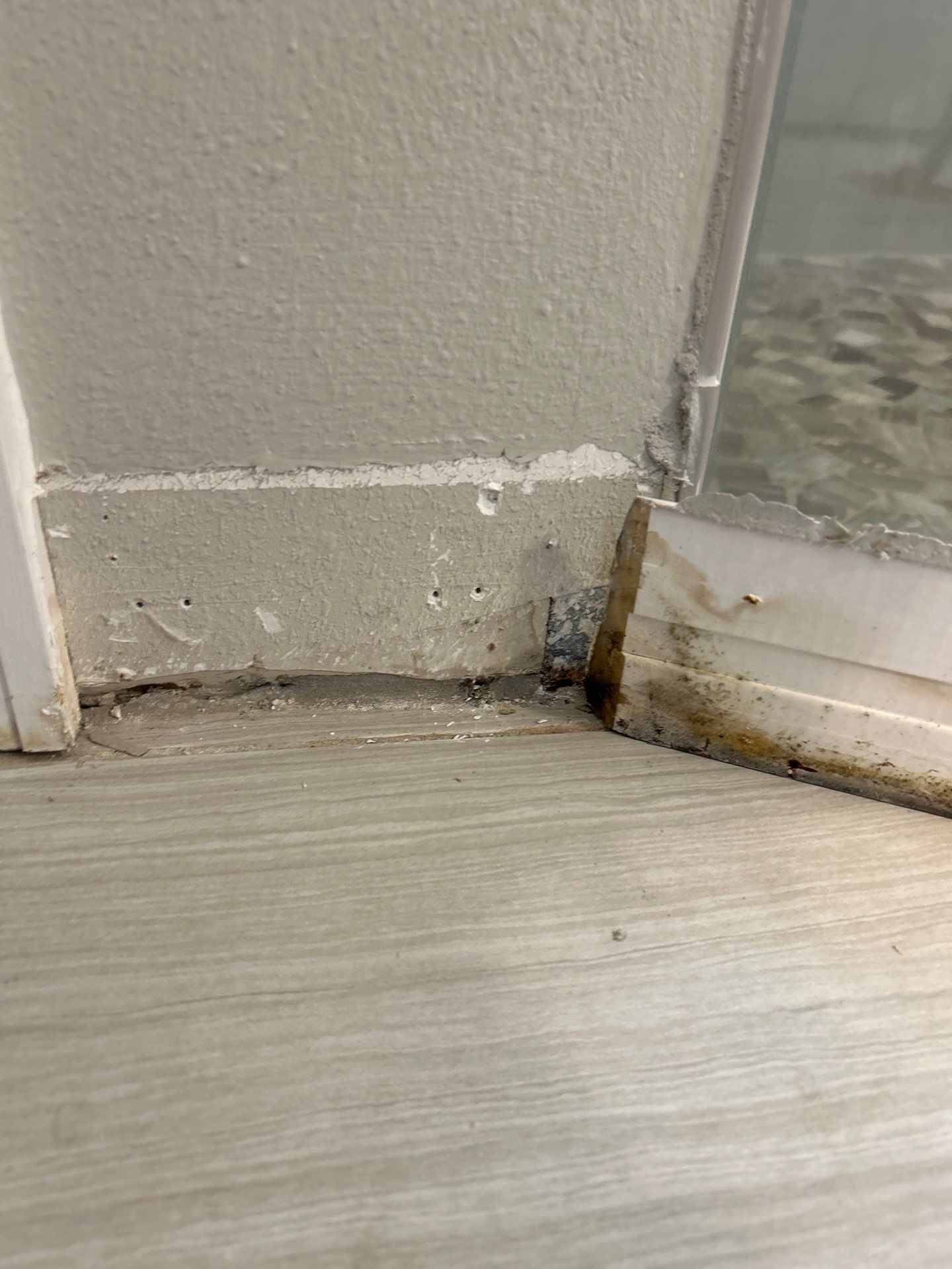 Mold Remediation In Palmetto by Ampm Restoration Services 