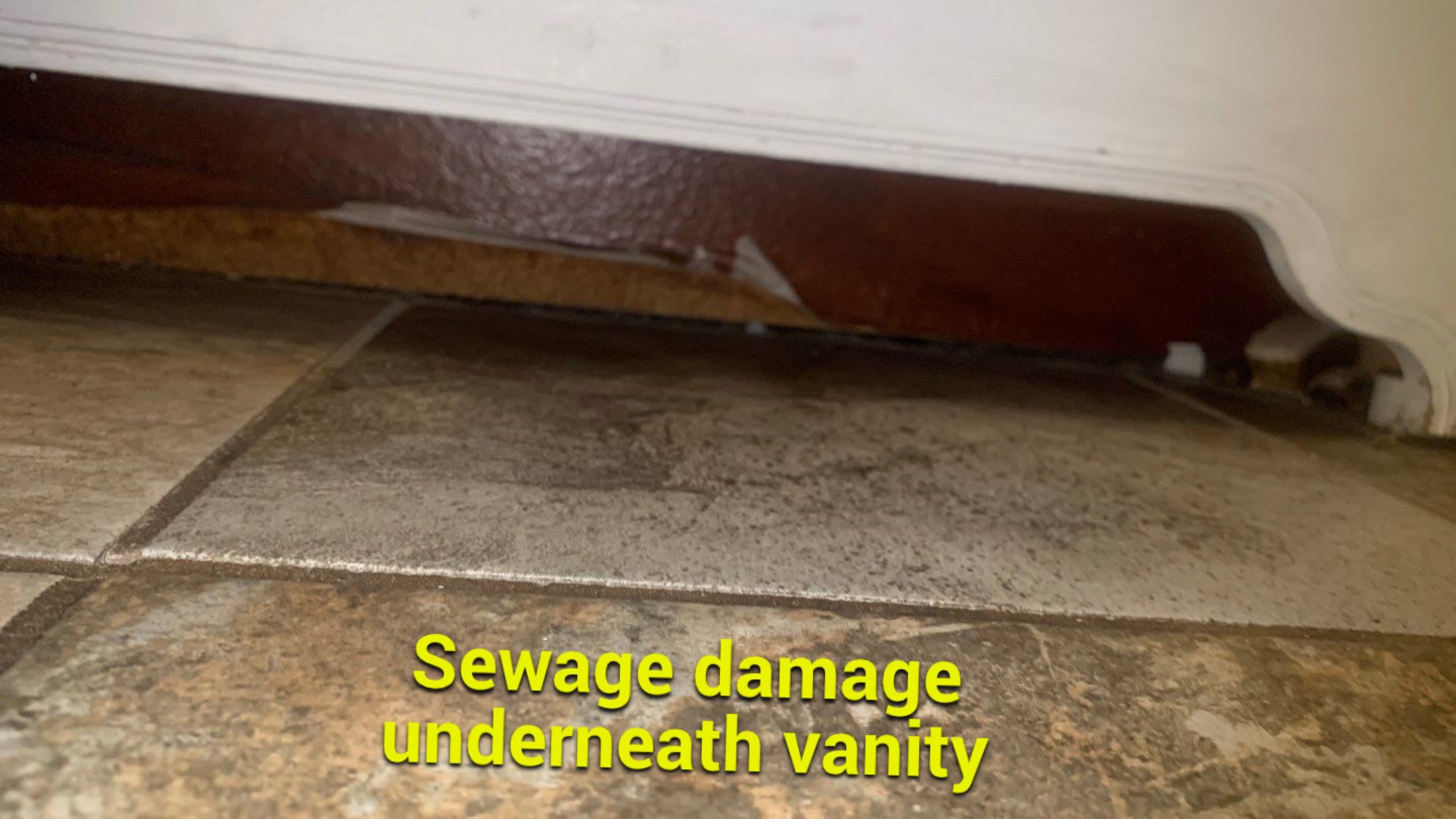 Toilet Overflow by Chicagoland Water Medics