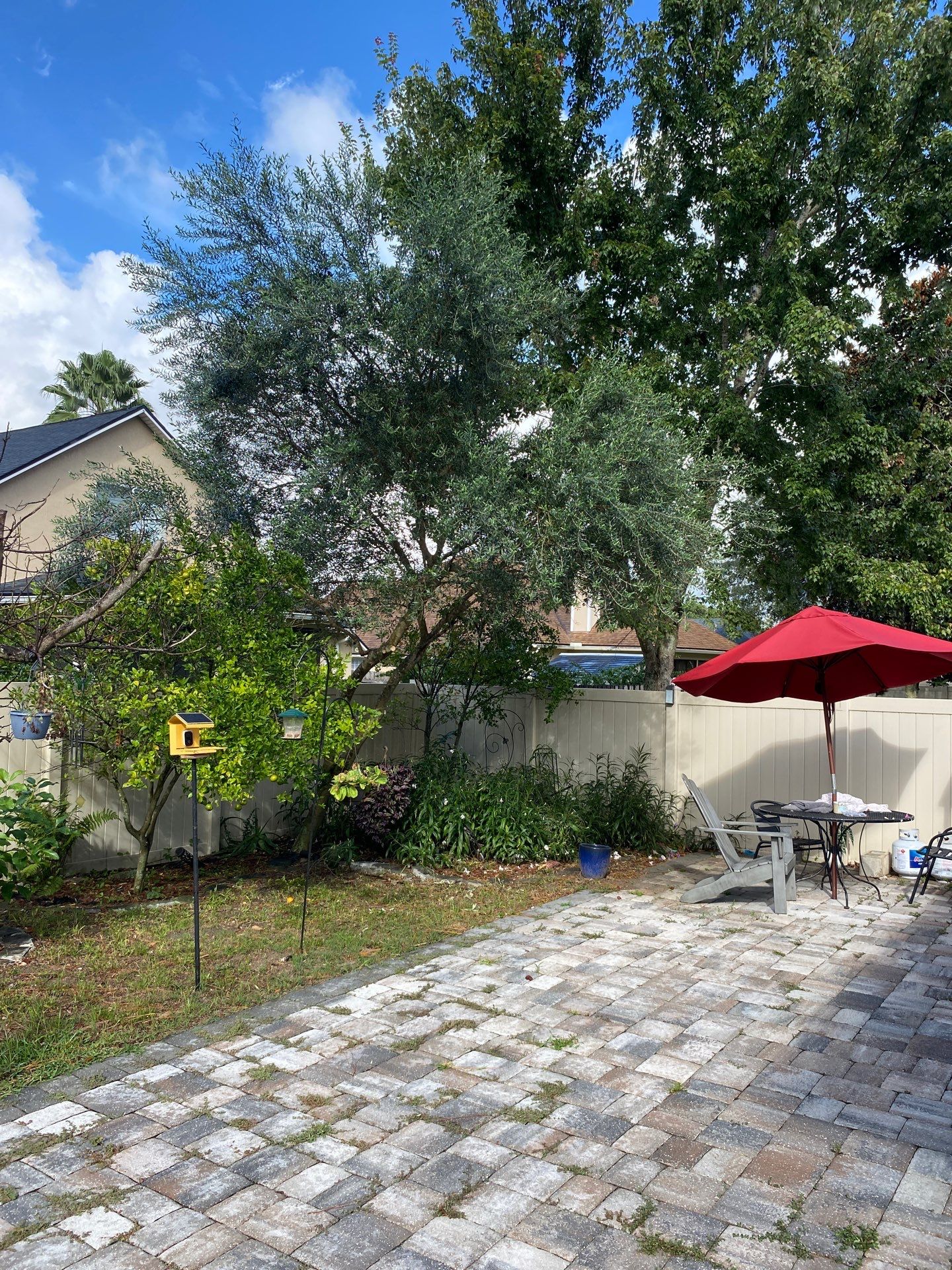 Property Clean Up | Residential by ProGreen Services