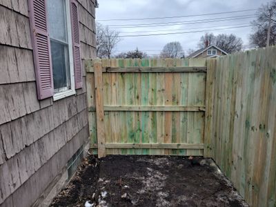 Wood Privacy Fence Installation and Replacement in Waterloo