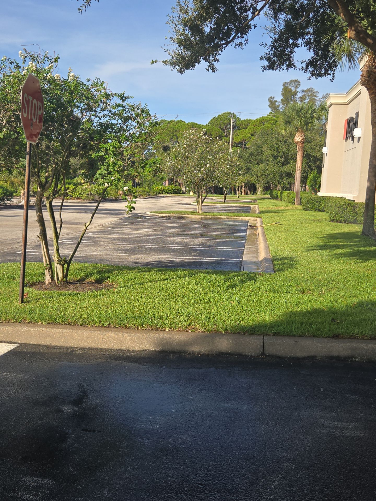 🛏️ City Mattress Refresh — Jensen Beach by Alpha Zeta Enterprises Inc