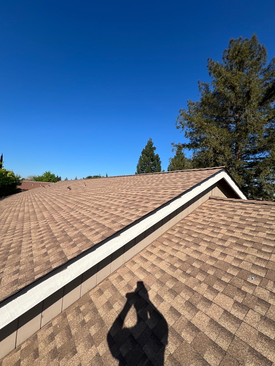 Removed tile from roof and replaced with shingles by Straight Edge Roofing Inc