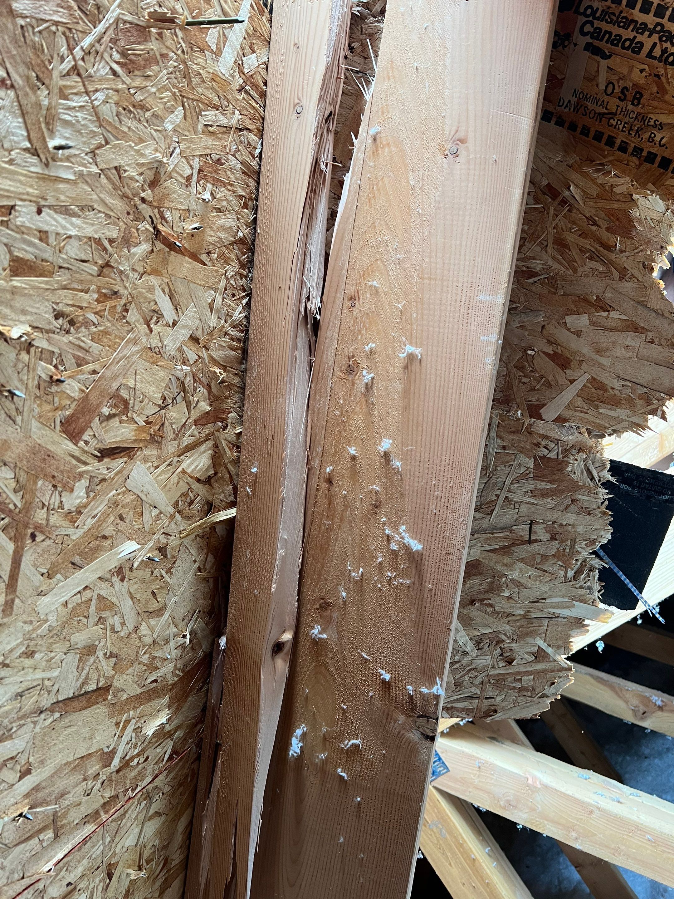 Green Snap Lock Standing Seam  by Montana Roofing Solutions