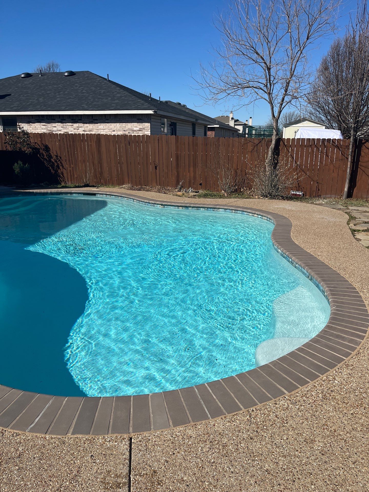 Freeform Pool and Spa Remodel with Fresh Plaster Finish by Pinnacle Pools and Spas - DFW