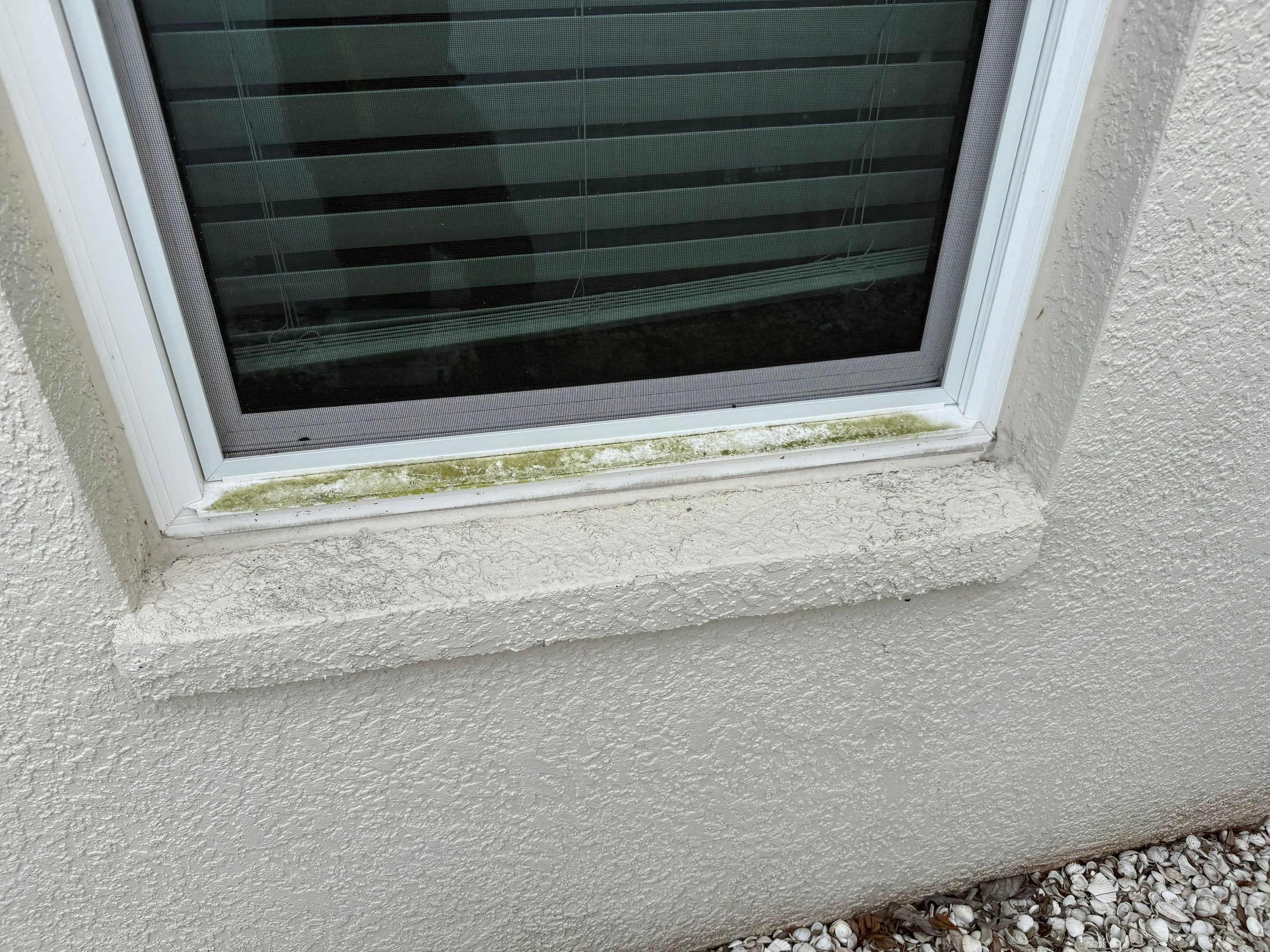 Patio, Vinyl Fence, & Partial House Wash in Creekside, Parrish, FL | Sunshine AquaWash by Sunshine AquaWash