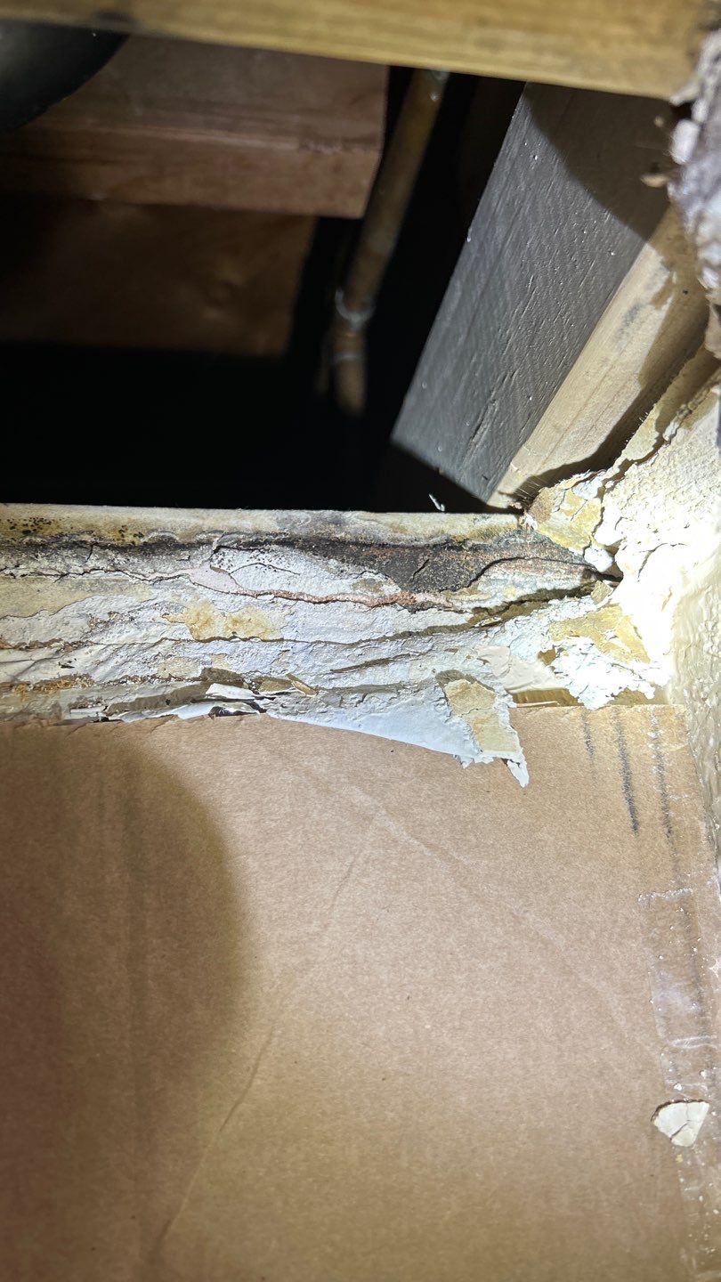 Mold Damage Project in Lakewood by Accountable Home Services