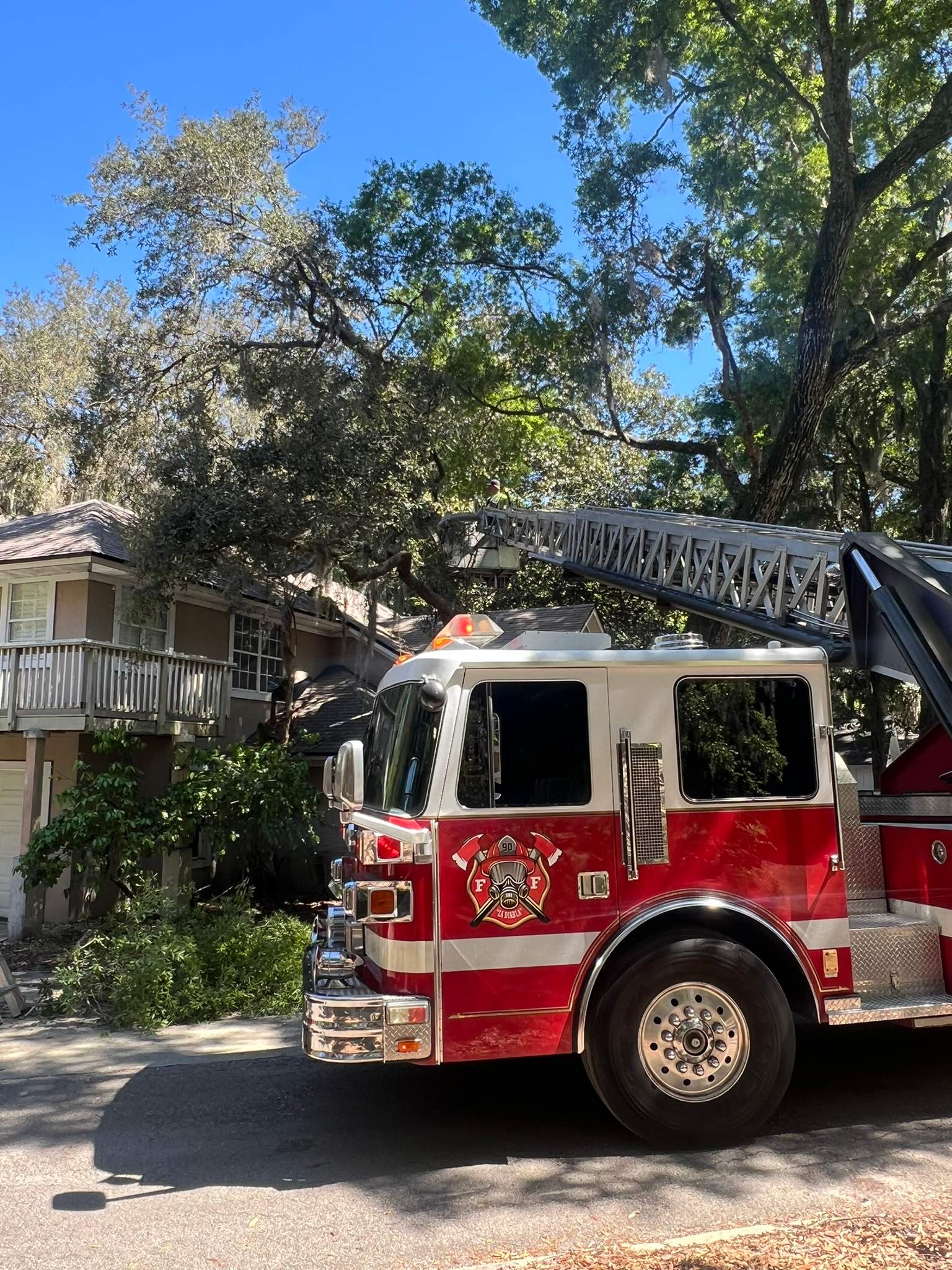 Tree Trimming | Hidden Hills by ProGreen Services