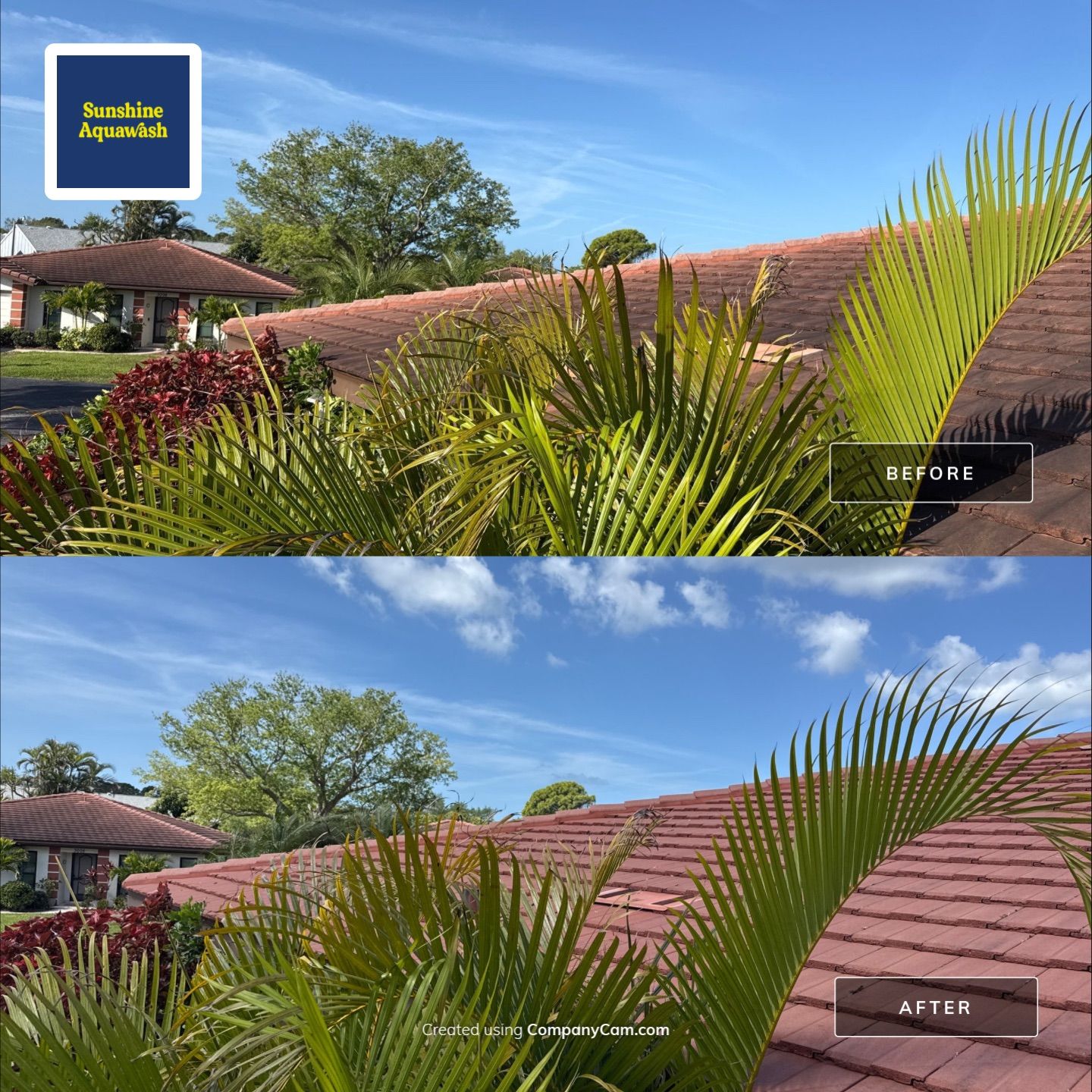 Tile Roof Cleaning in Vivienda at Bradenton, FL | No Roof Walking Method by Sunshine AquaWash