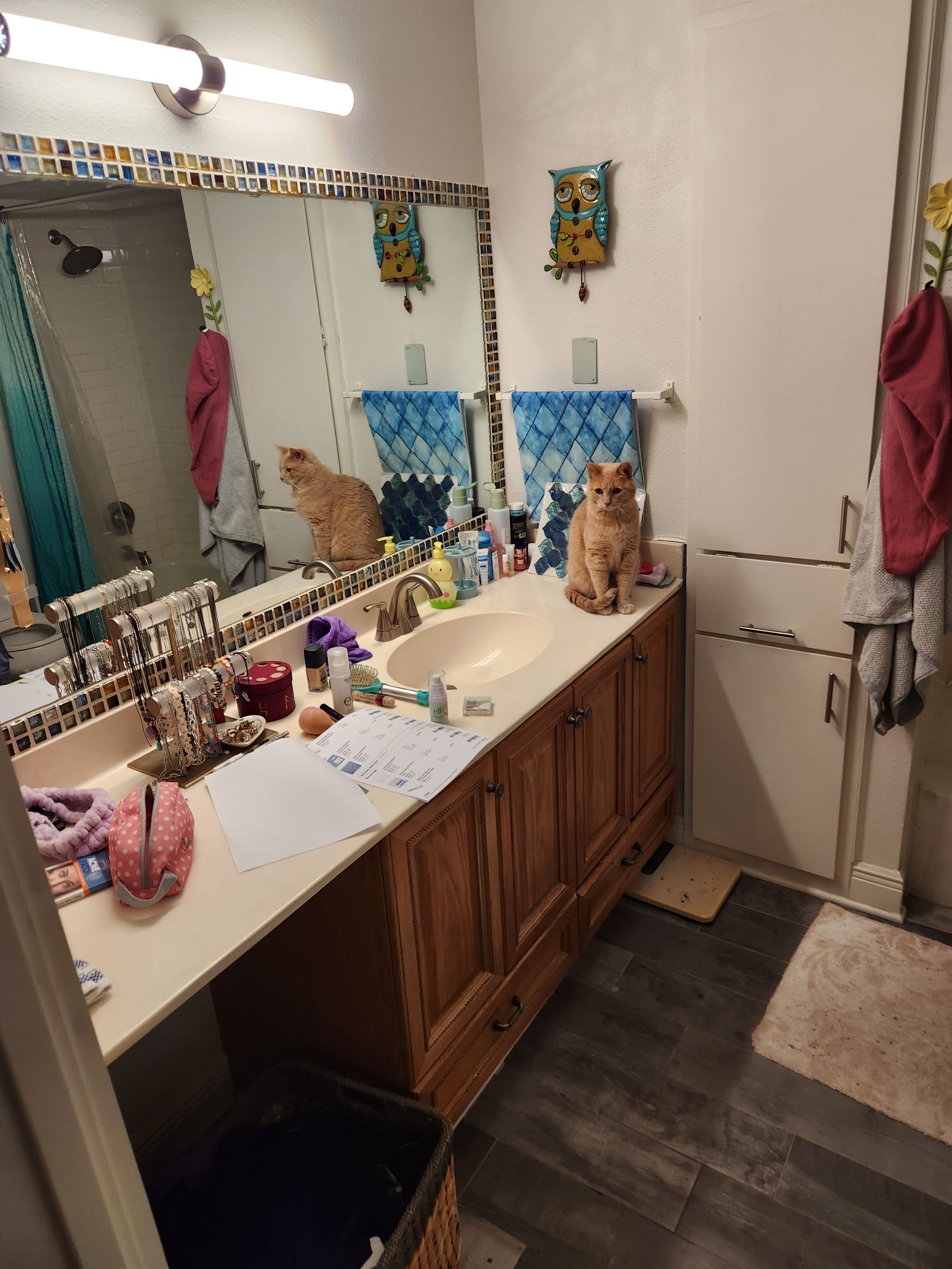 Austin Bathroom 2 and a half Remodel Featuring Tile and Custom Niches by RejuveNate Renovations LLC