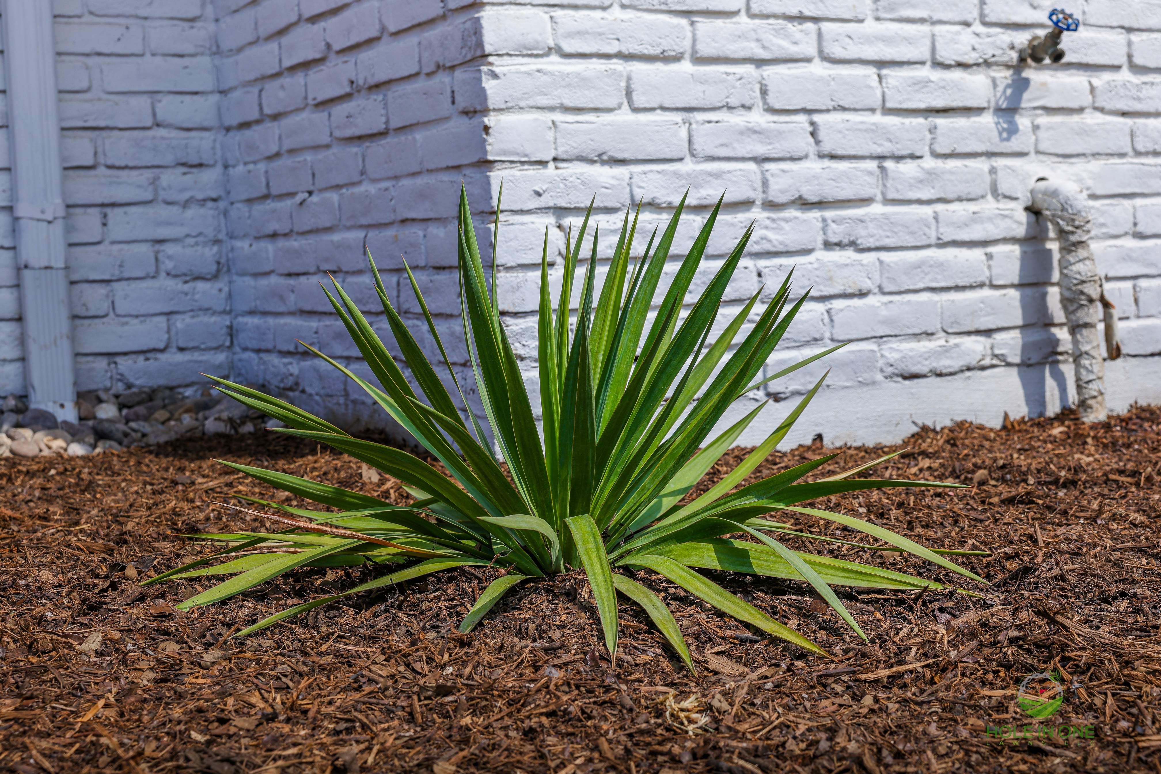 Front Paver Patio, Laredo Rock & Xeriscape Beds | Hollywood Park, San Antonio TX by Hole In One Lawns, LLC