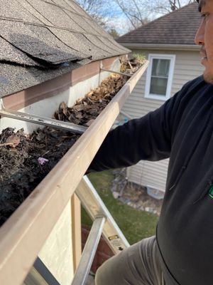 Turtle Shell gutter protection installation in Naperville, IL 60565, photograph 28