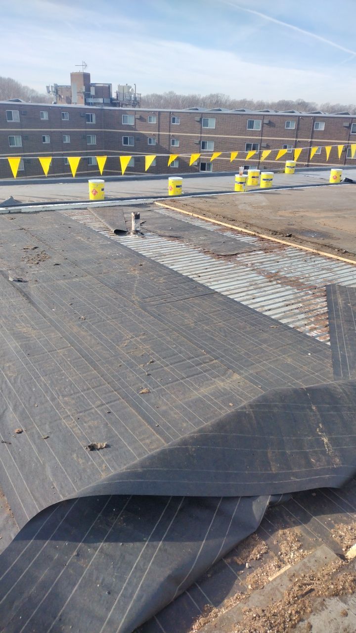 Commercial flat roof parma by Absolute Roofing and Construction