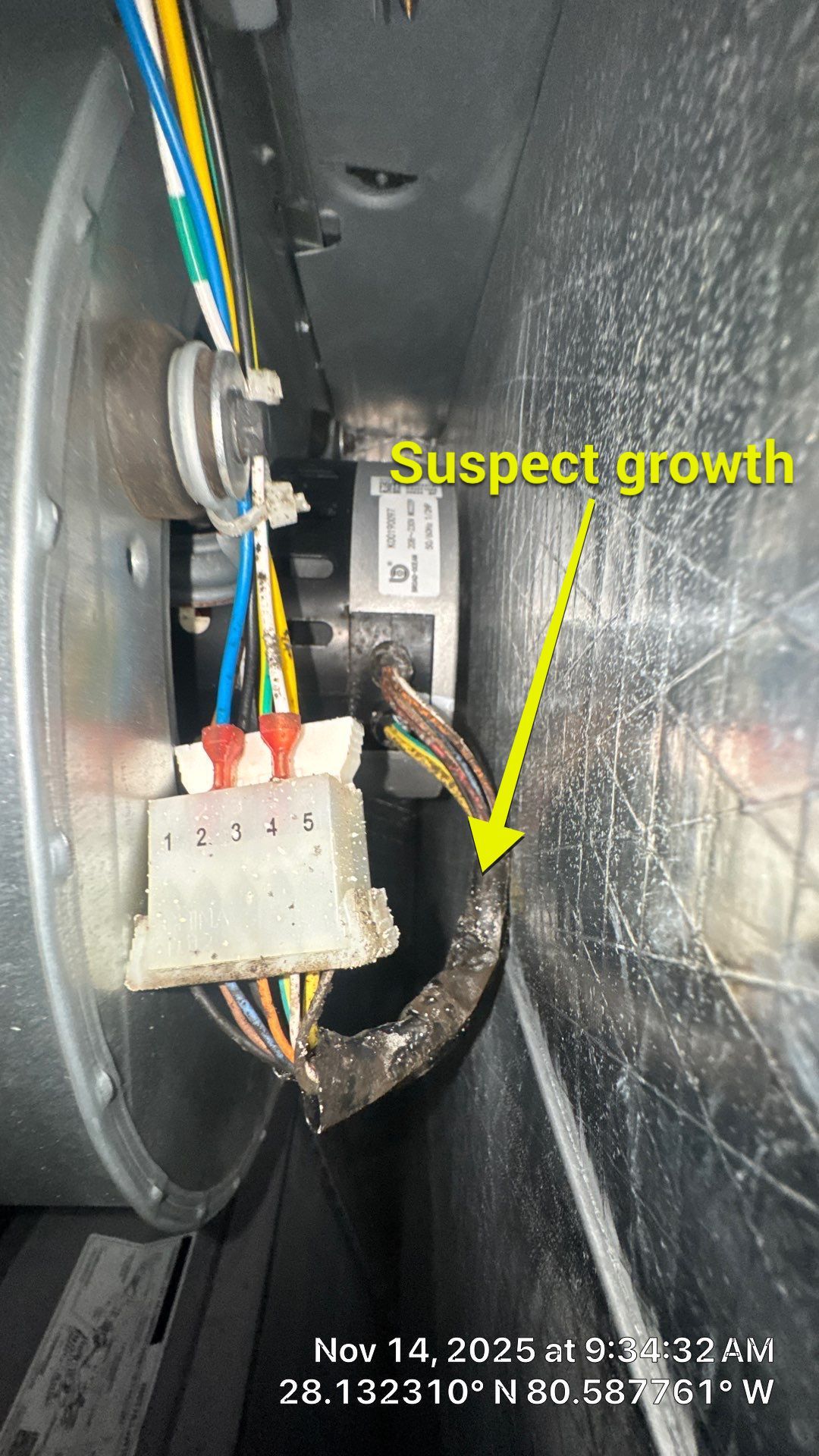 Air Duct Cleaning in Indialantic by Hygienic Air, Inc