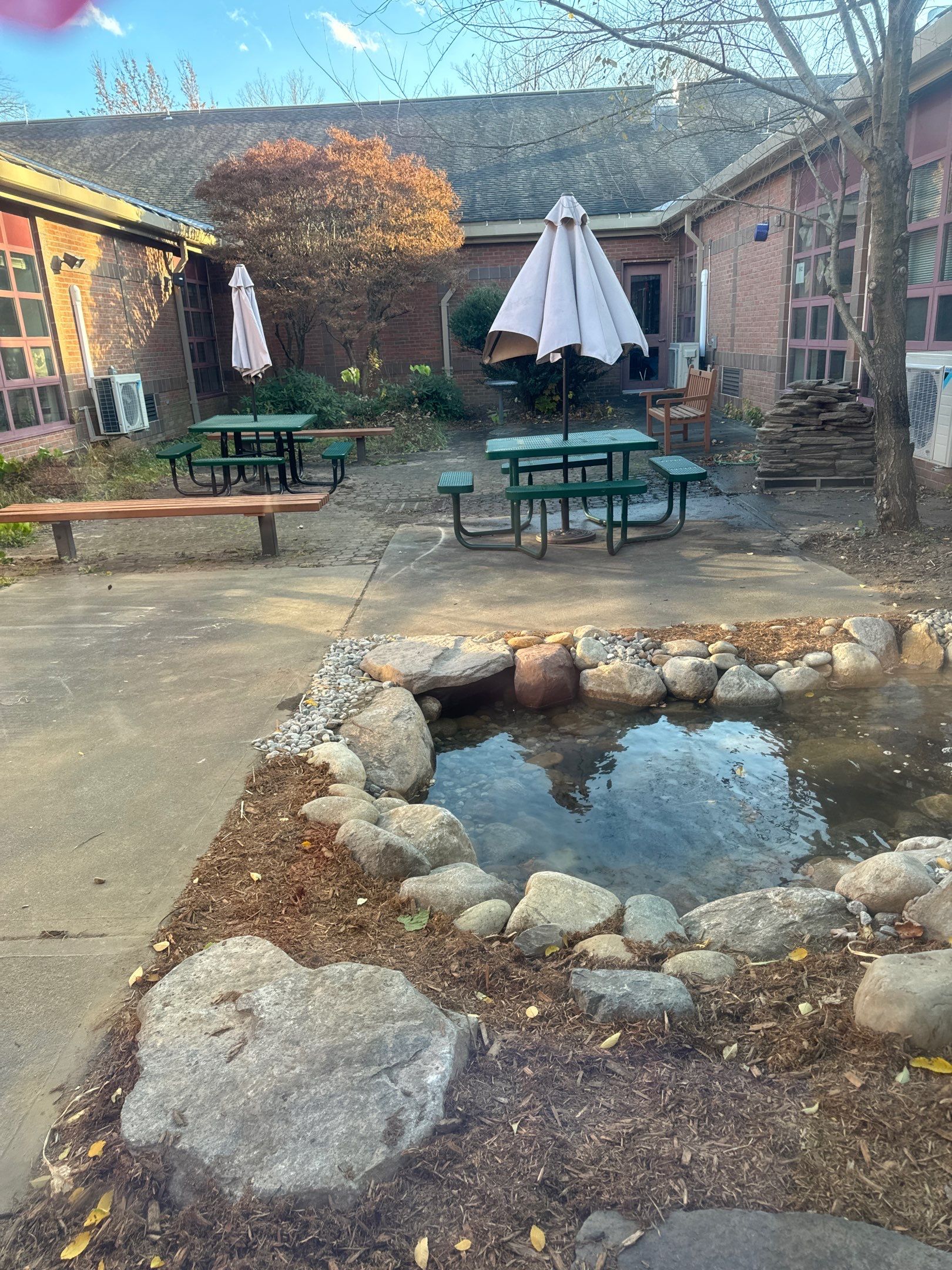 Deerfield Elementary School Koi Pond Build by Wicked Water Gardens