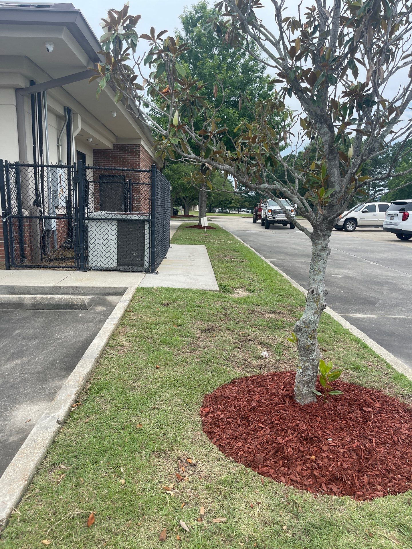 COMMERCIAL: BED CLEAN / MULCH INSTALL  by CutScape, LLC.