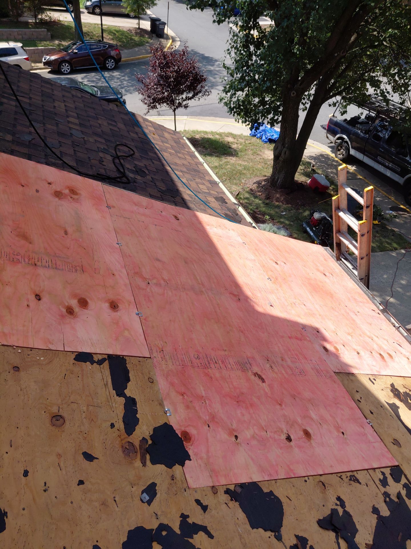 Alexandria: Residential Roof with CertainTeed Landmark Pro in Max Def Burnt Sienna by RM Banning, Inc.