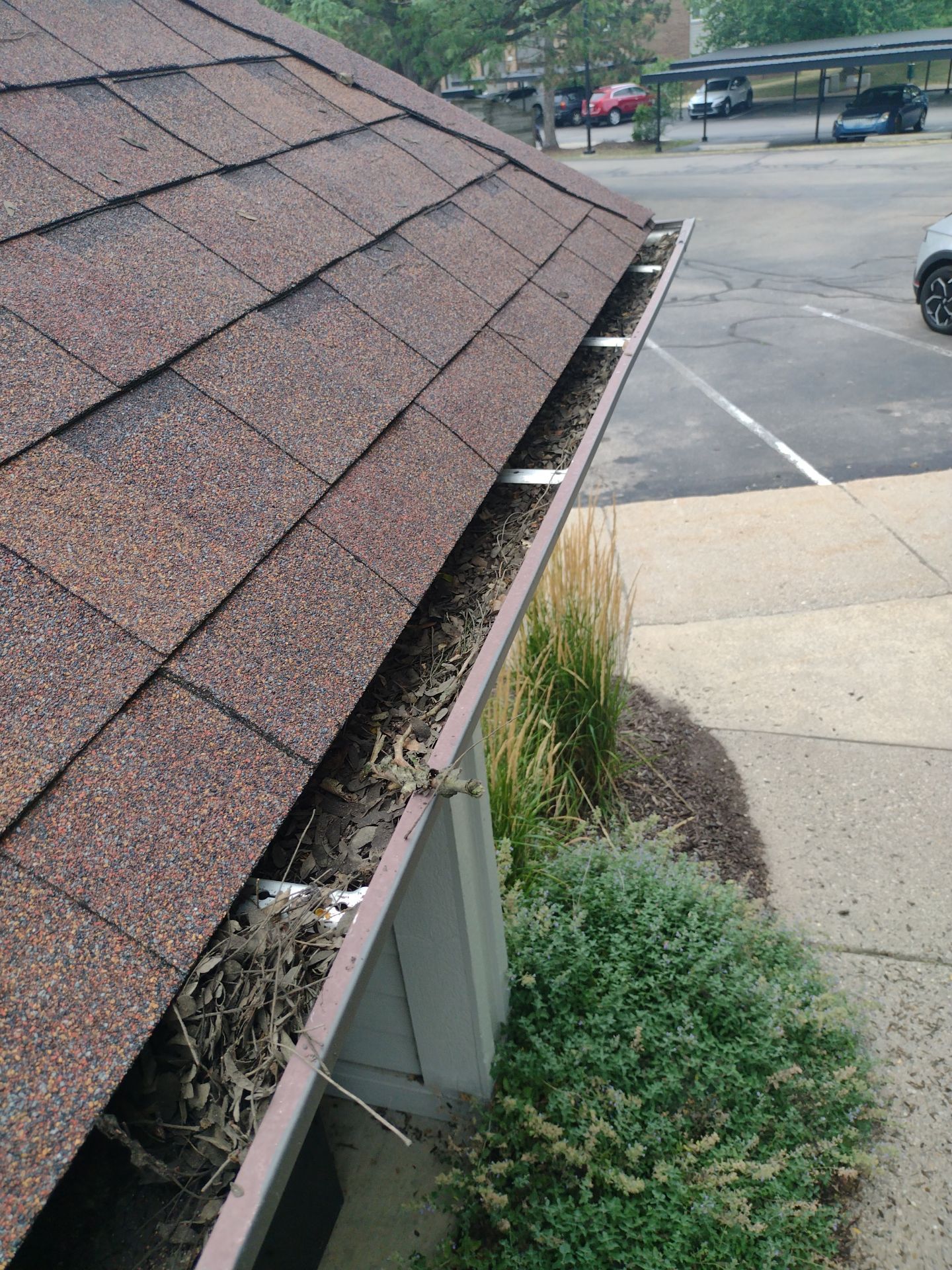 Commercial gutter cleaning Grand Rapids before photo with filled gutters