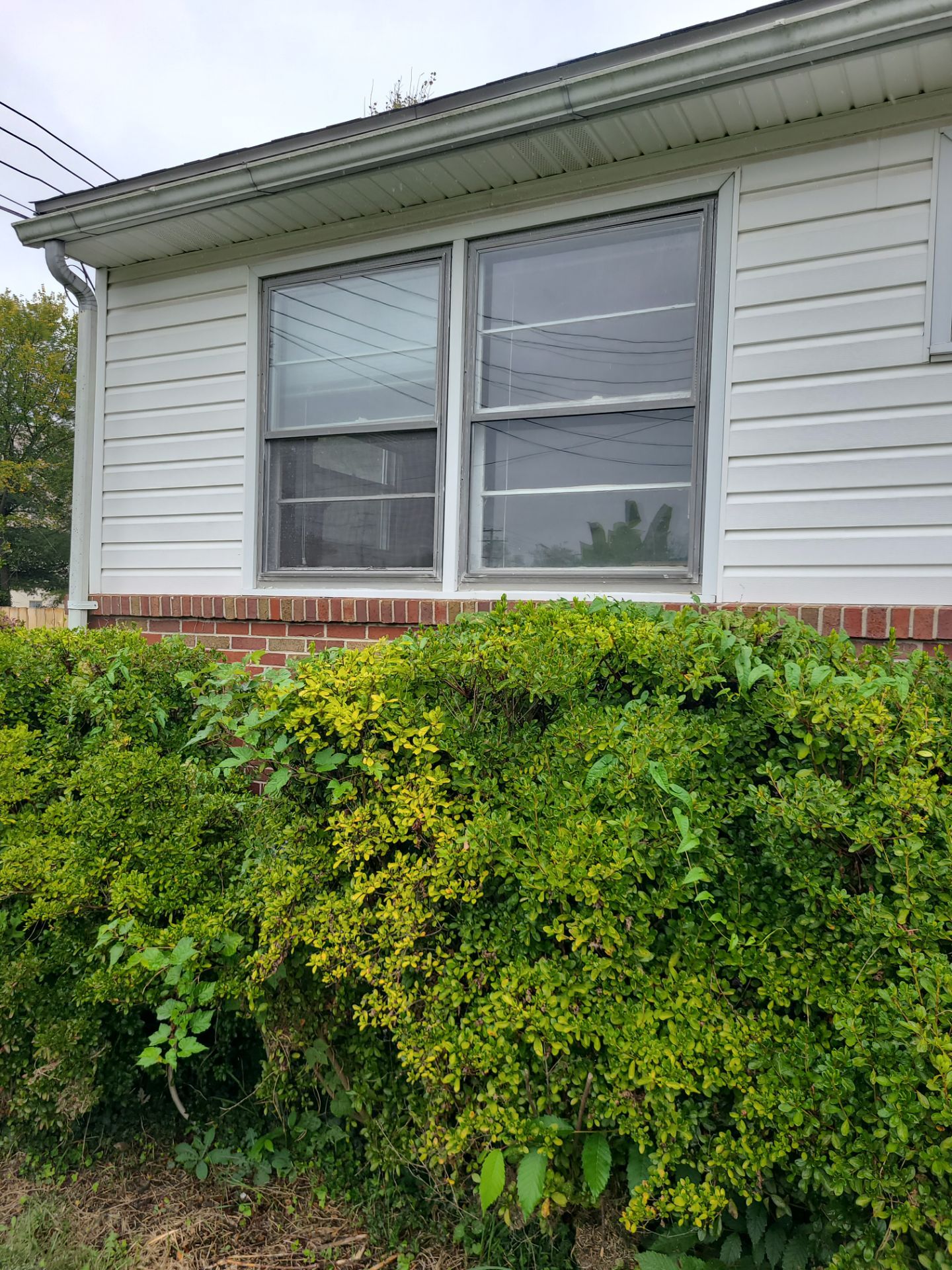 Double Hung Windows Installation Start to Brand Ambassador by Aspen Home Improvements