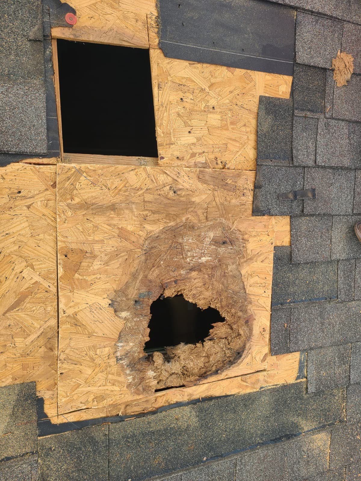 Roof Repair Spring by Roof Repair Company