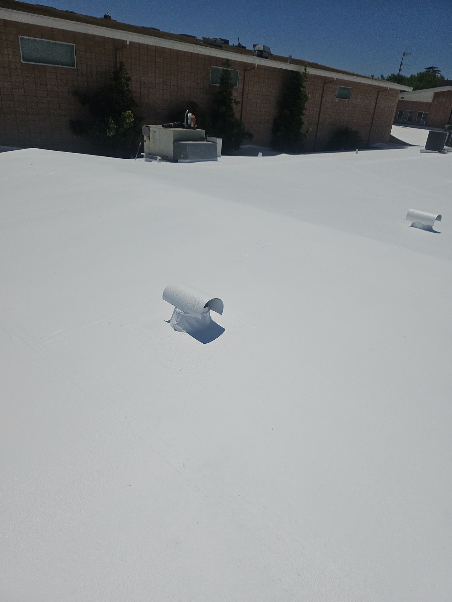 Single-ply restoration system using Benchmark/PUMA XL coatings over TPO single-ply roofing by Straight Edge Roofing Inc