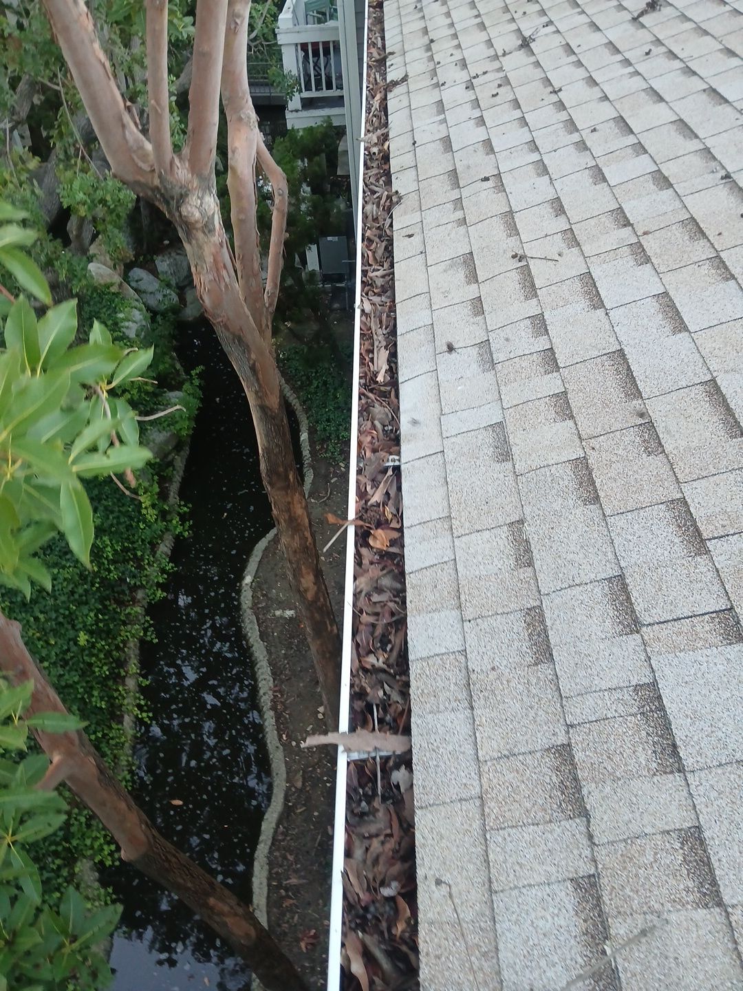 Commercial gutter cleaning Long Beach, CA before photo with filled gutters