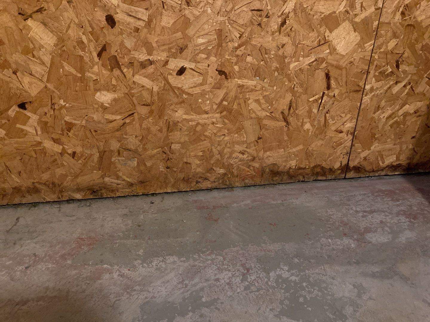 Mold Remediation in Basement by Accountable Home Services