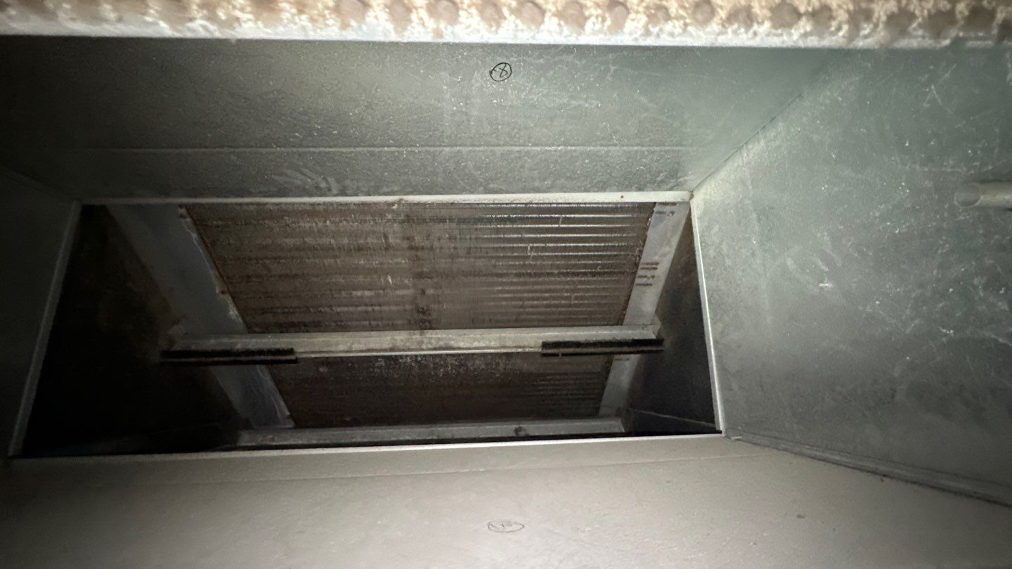 Commercial Air Duct and Pizza Oven Cleaning in Clermont by Hygienic Air, Inc
