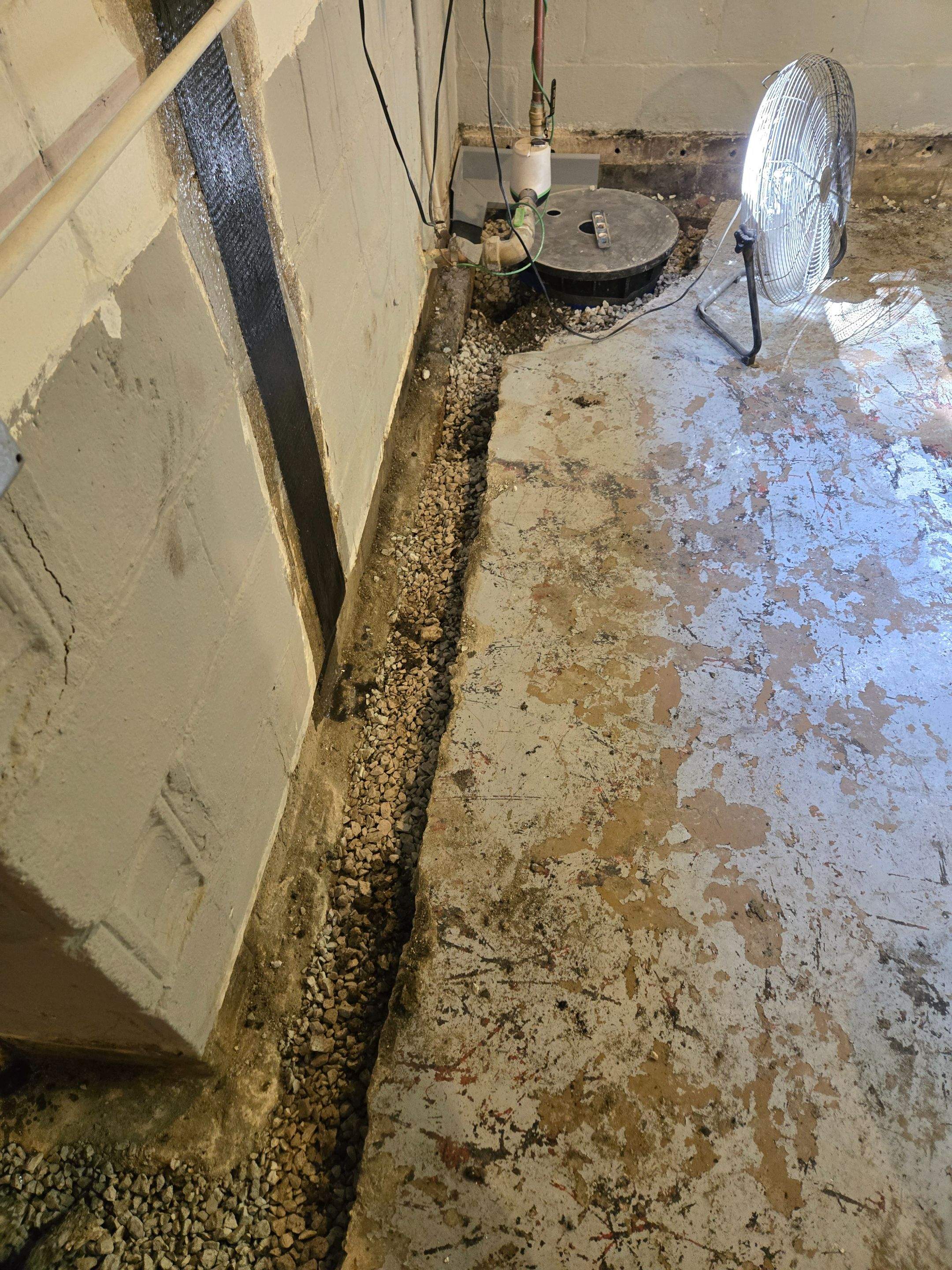 Complete Water Defense System by Allied Water Services