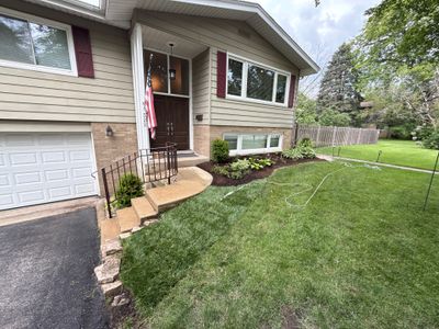 Amy N. - Arlington Heights, IL