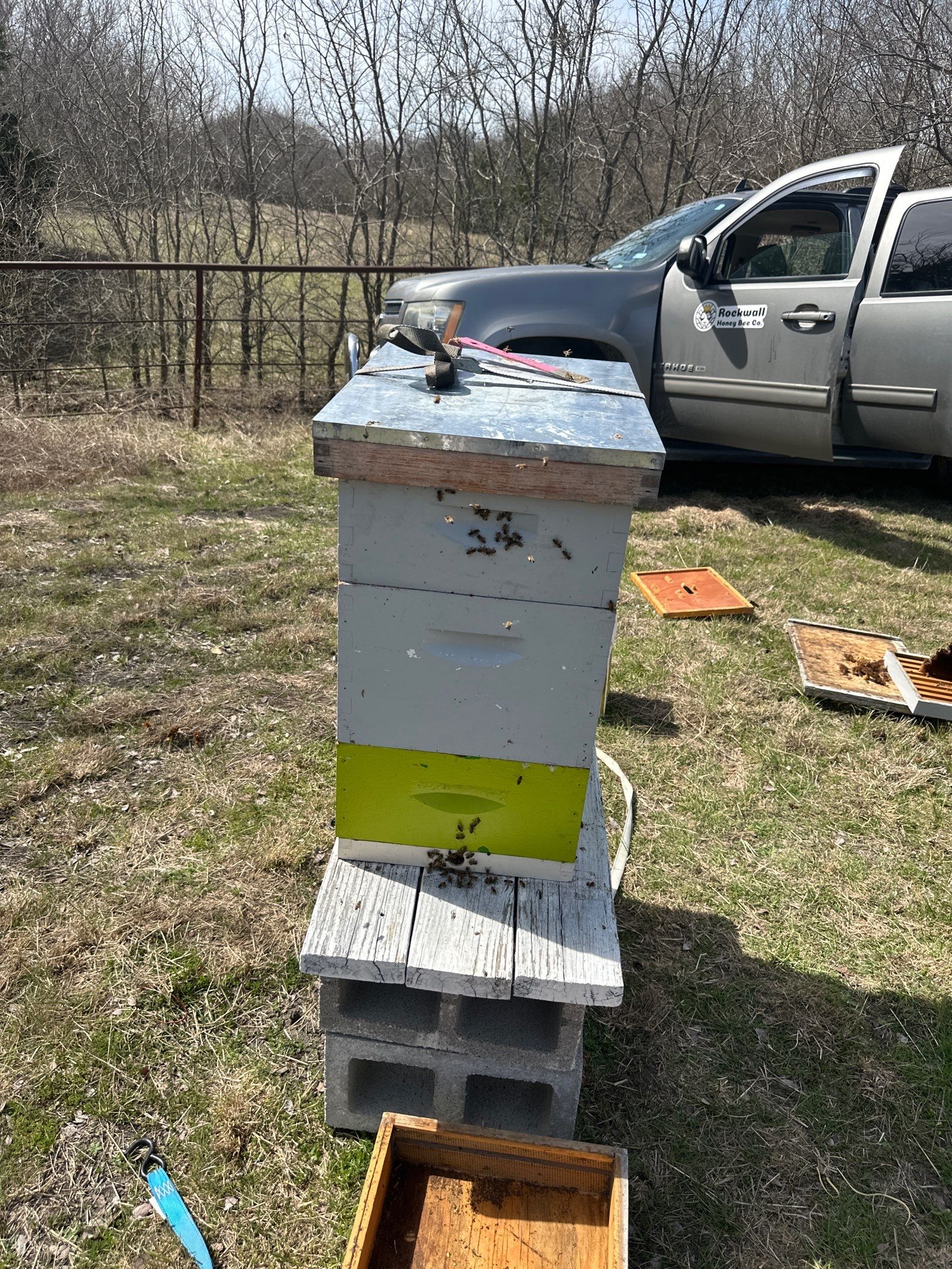 Bees for Ag. Exemption in Heath by Rockwall Honey Bee Company