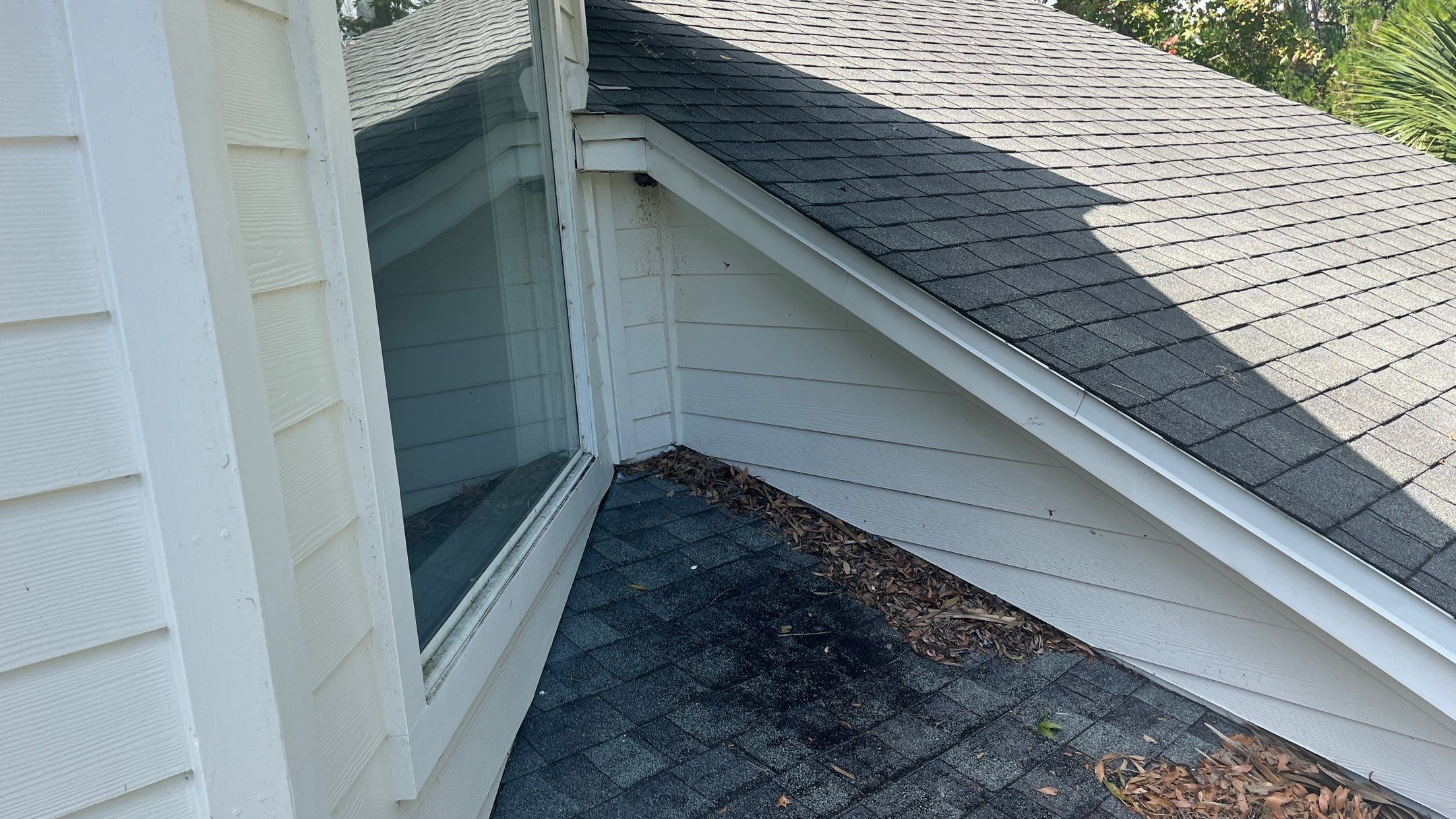 Shingle -> Shingle by Prime Roofing