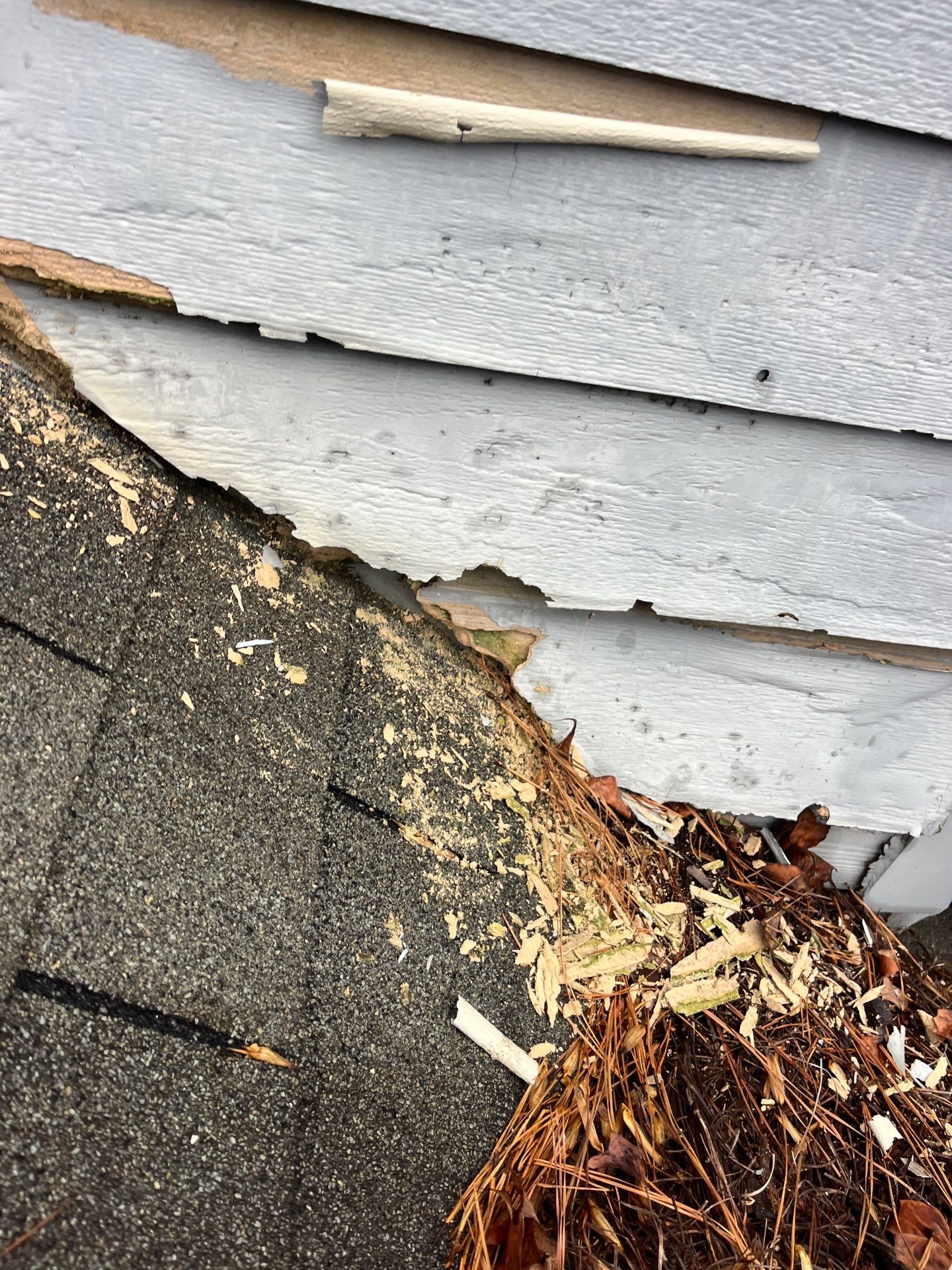 Rotten Wood Replacement using Hardie Trim by Nelson Exteriors 