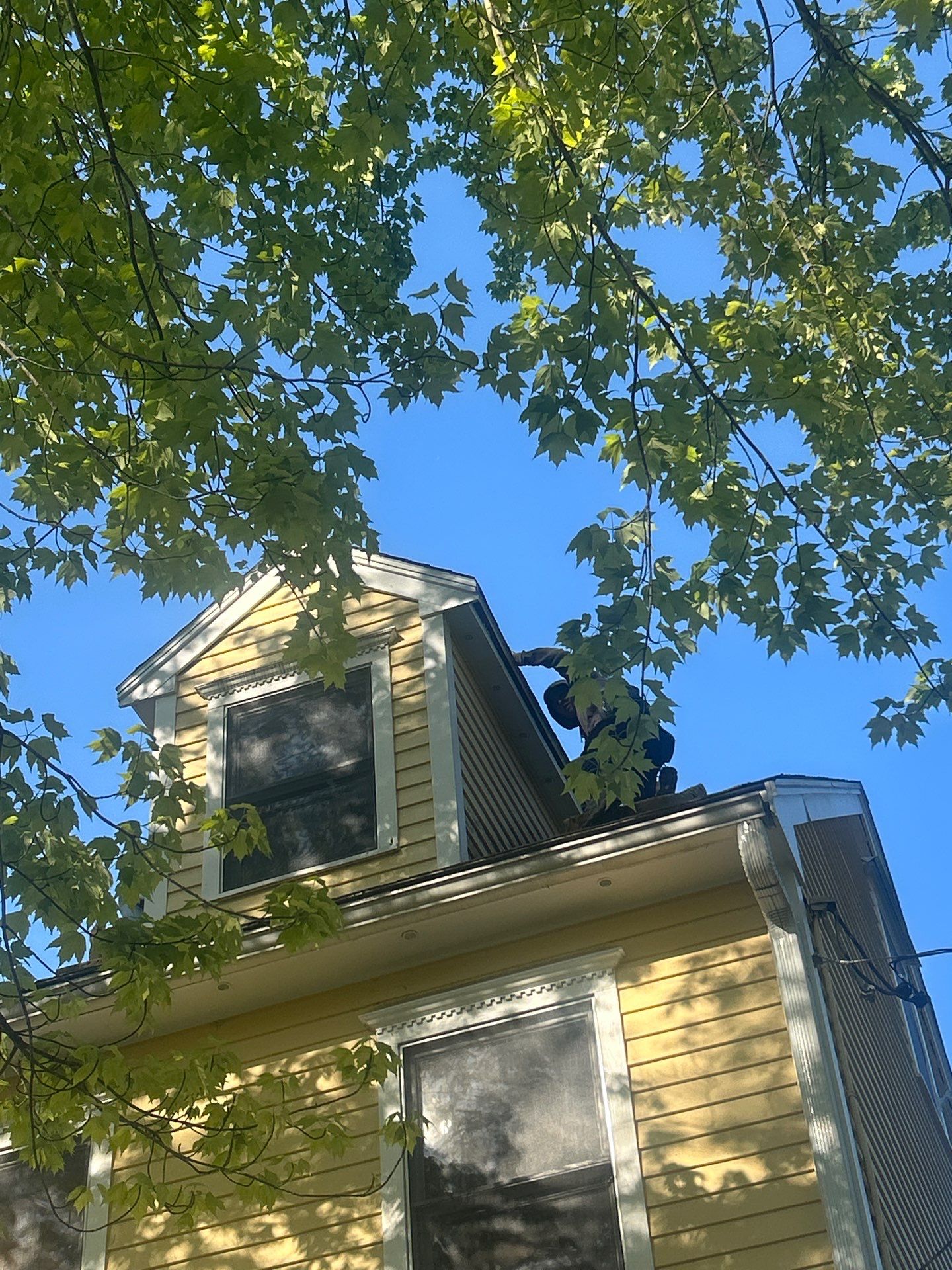 Siding | Dunstable by Mighty Dog Roofing of Greater Middlesex County