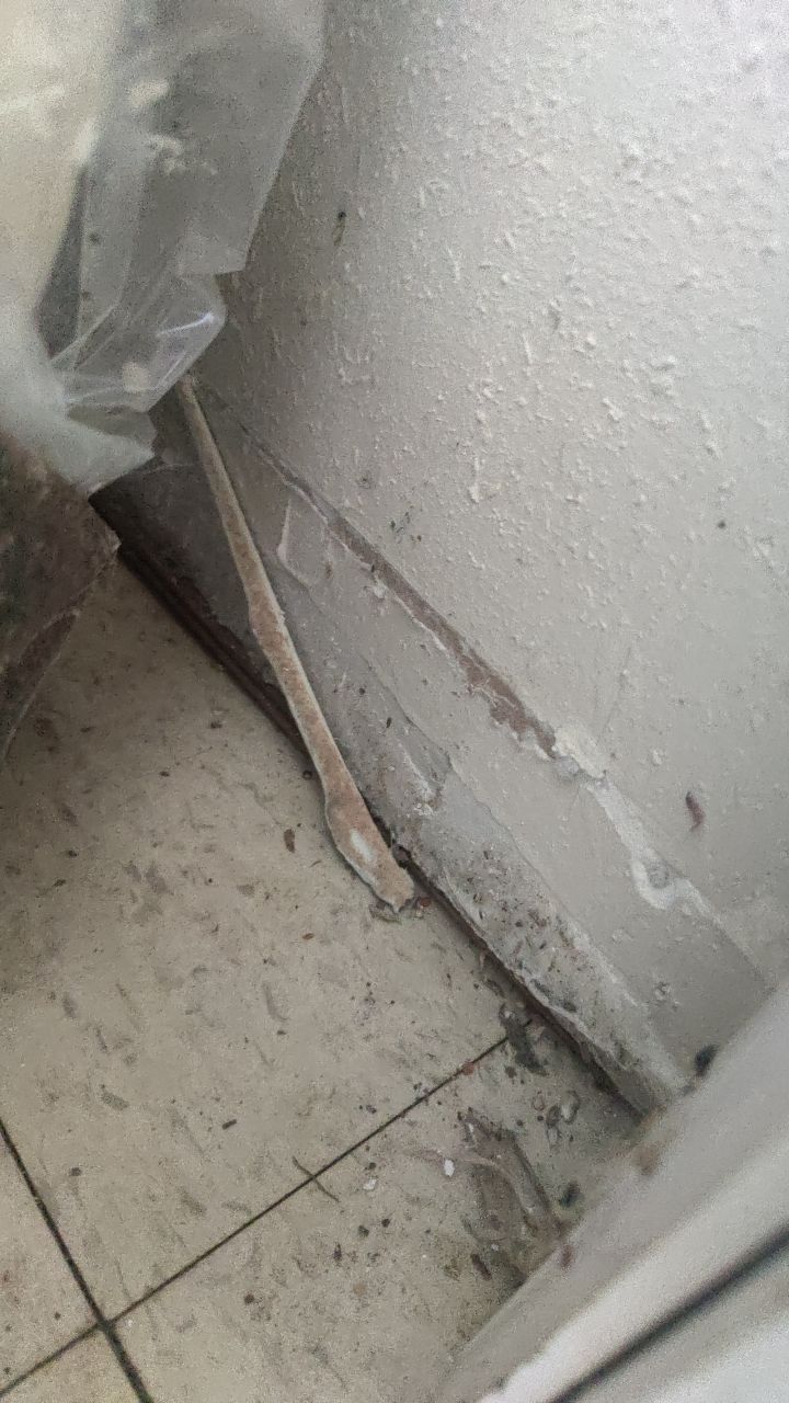 Mold Remediation by Accountable Home Services