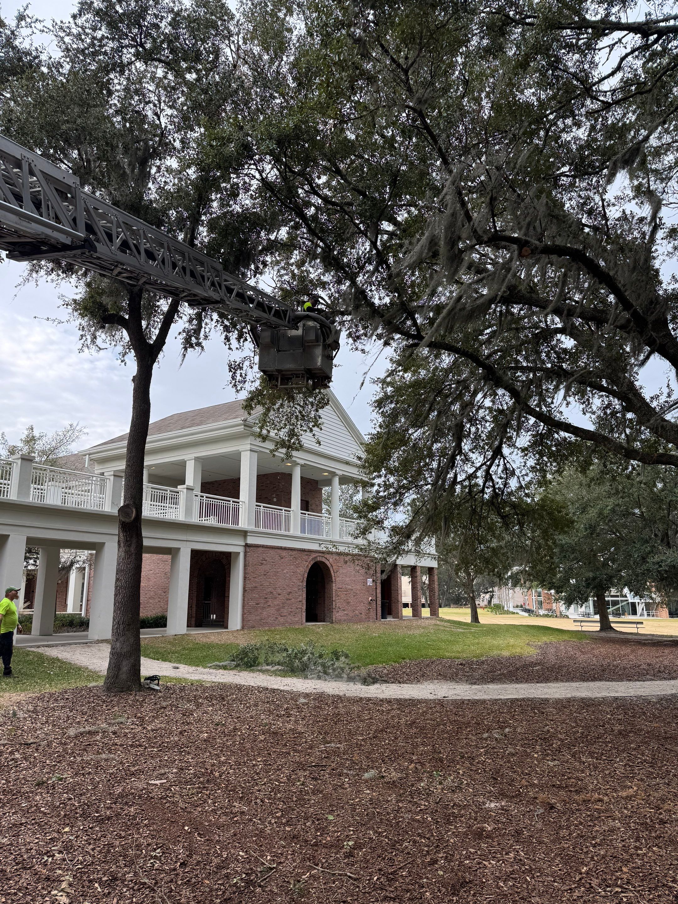 Volunteer Work | Episcopal High School of Jacksonville by ProGreen Services