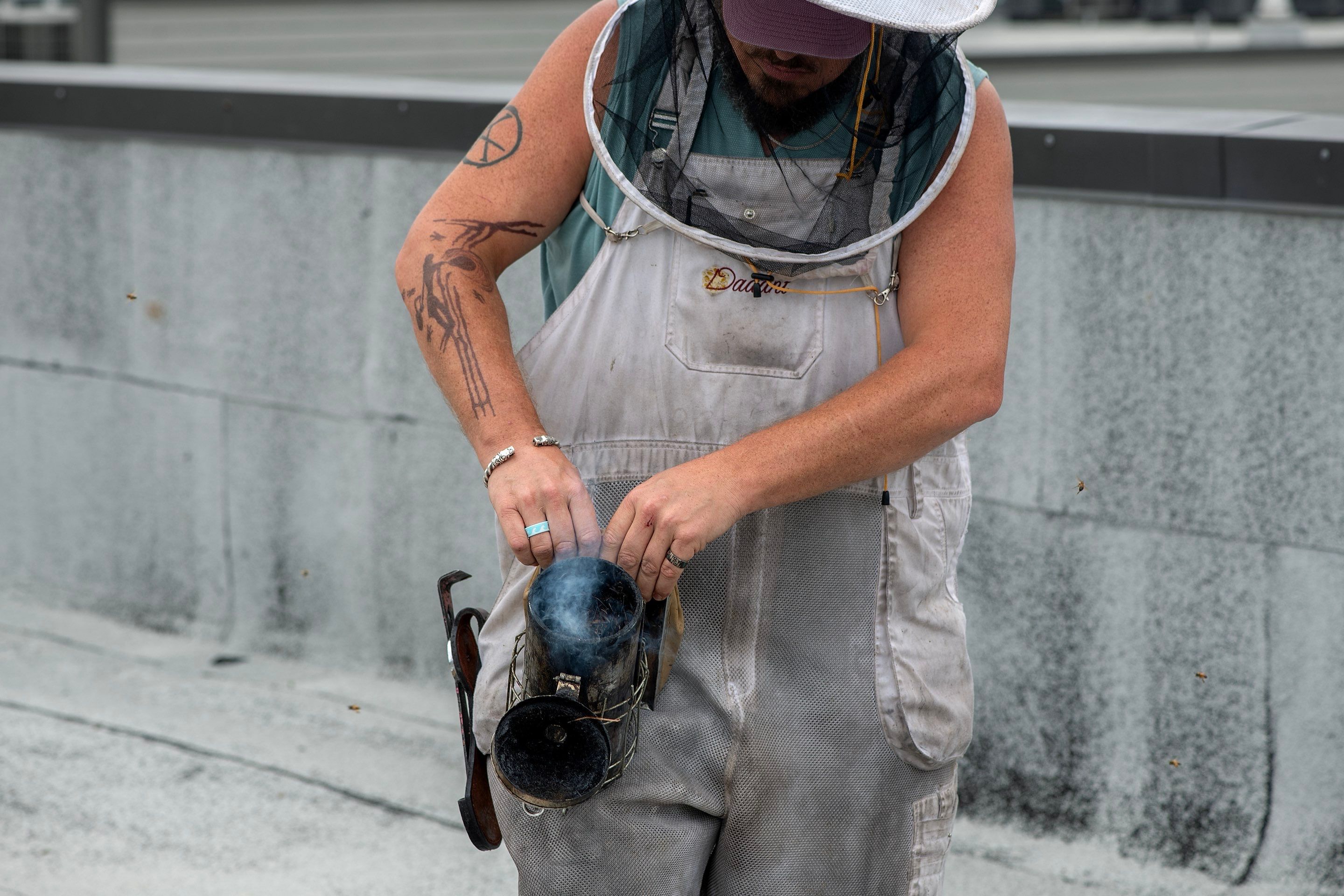 Urban Beekeeping in Dallas by Rockwall Honey Bee Company
