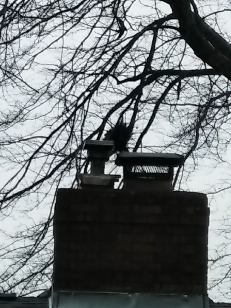 Residential Roofing Repair using Roof Installation by American Roofing NC