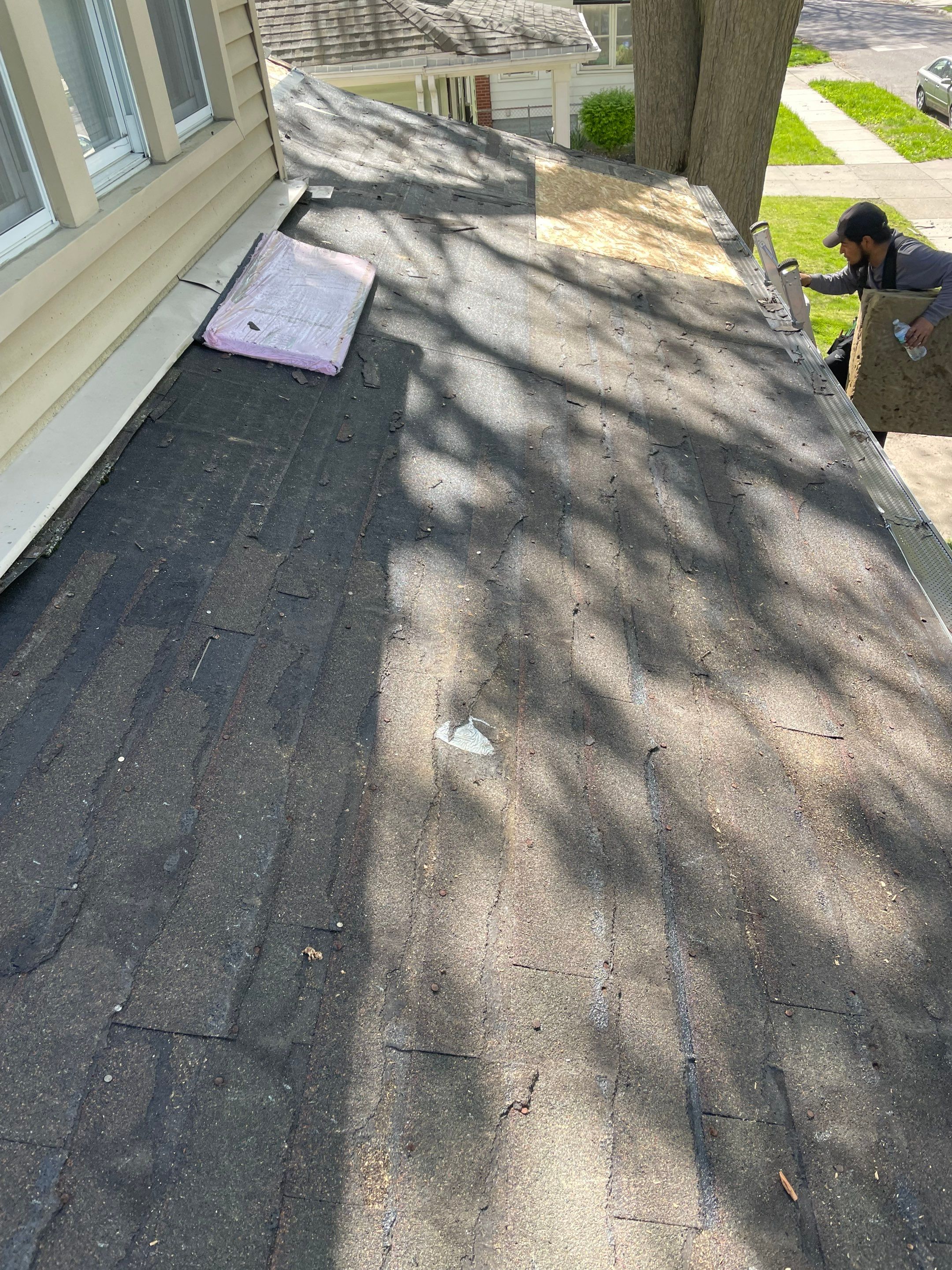 Project in Ferndale by Eave Roofing