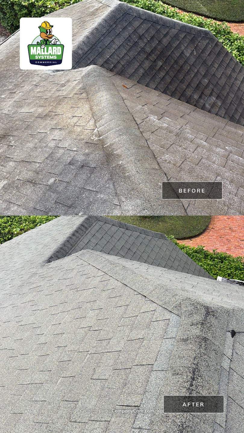 Shingle Roof Cleaning and Debris Removal in Winter Park by Mallard Systems