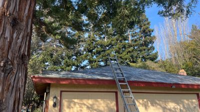 Roof Rejuvenation using Roof Maxx Treatment