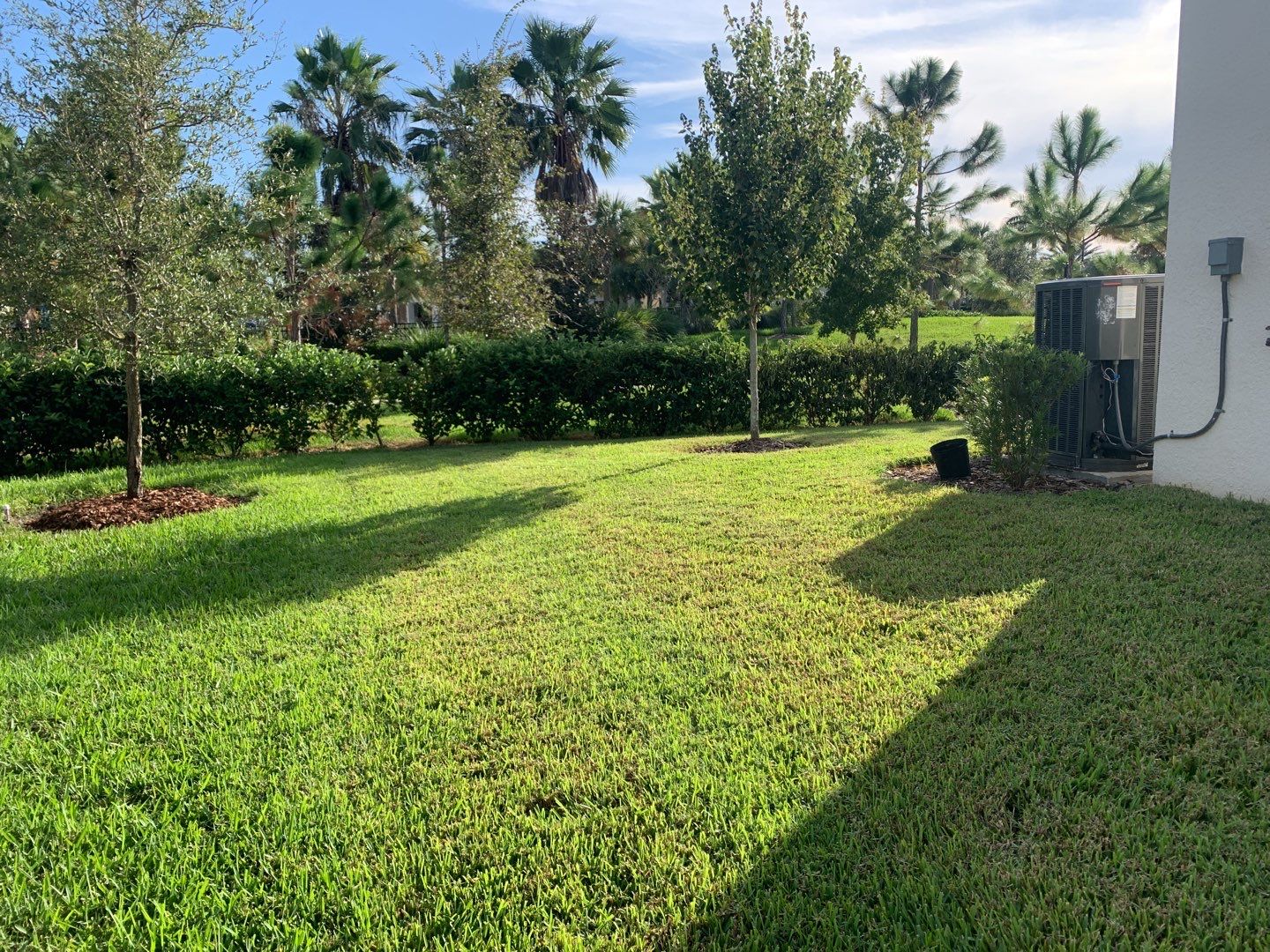 Palmetto, FL 5 ft. Tall Bronze Aluminum Fence by Asap fence and gates, LLC