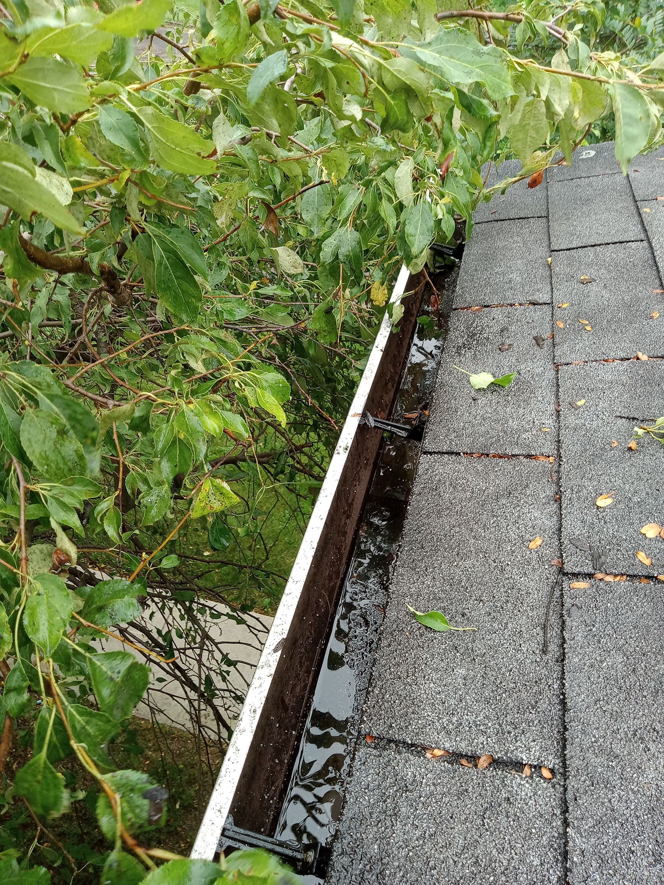 Commercial gutter cleaning Scranton & Wilkes-Barre, PA after photo with clean gutters