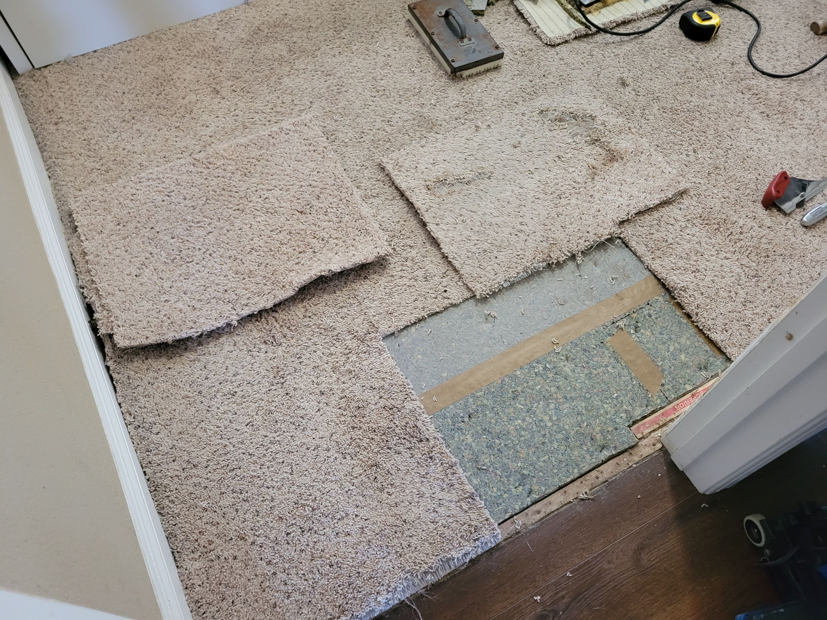 Bonded Inserts for Dog Damage by Ardent Carpet Restore LLC