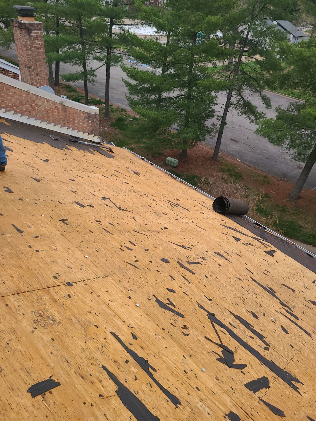 Springfield: Residential Roof Replacement with CertainTeed Landmark Pro in Max Def Red Oak by RM Banning, Inc.