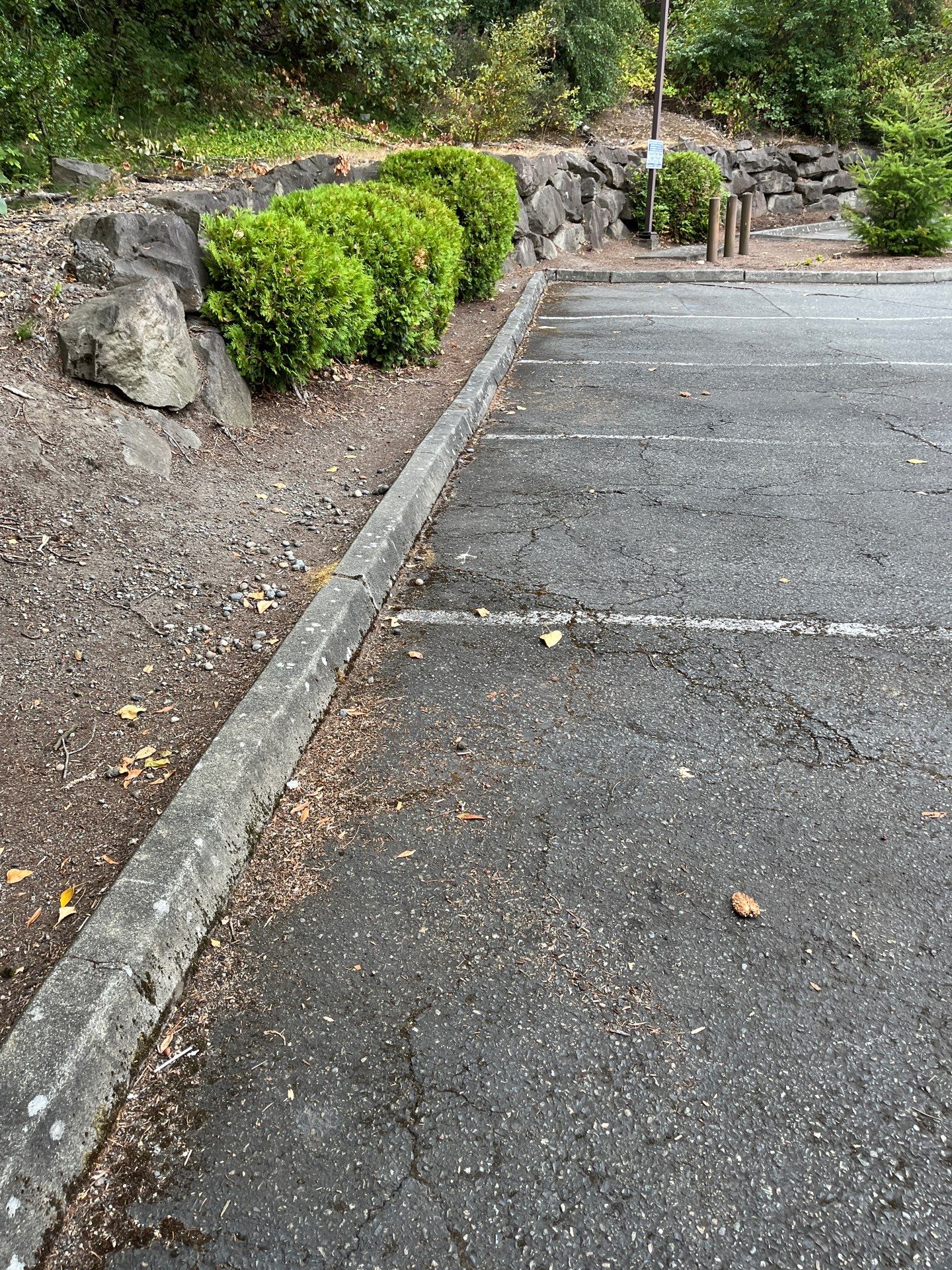 Asphalt Patch Repairs & Sealcoating | Kenmore   by Jireh Asphalt & Concrete Inc 