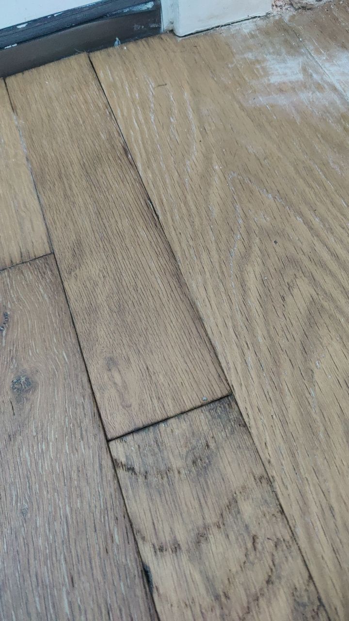 Mold Remediation  by Accountable Home Services