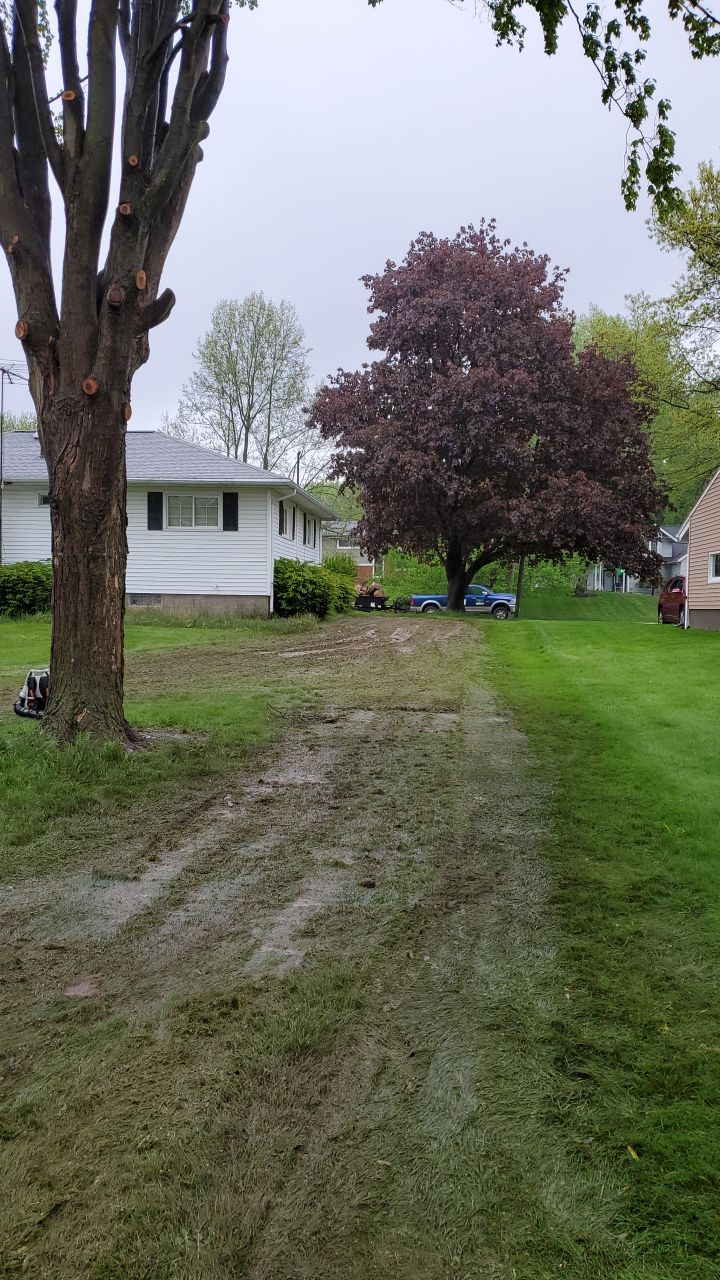 Tree Removal using Tree Removal by Mike Jones & Sons Tree Service LLC 