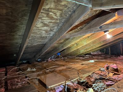 Attic Mold Remediation