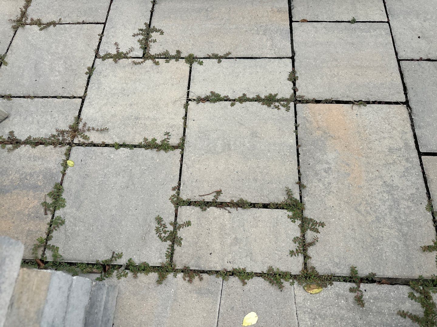 Patio using Wood Sealant, Top Coat, and PolySand by DuraSeal