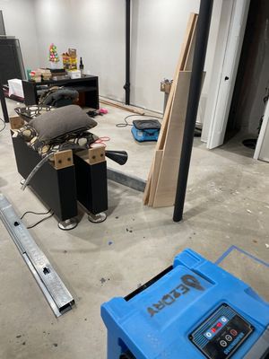 Project in Novi